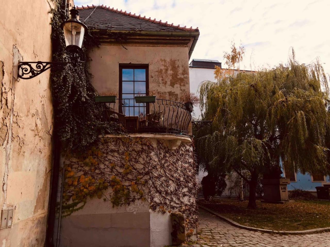 Photo 21