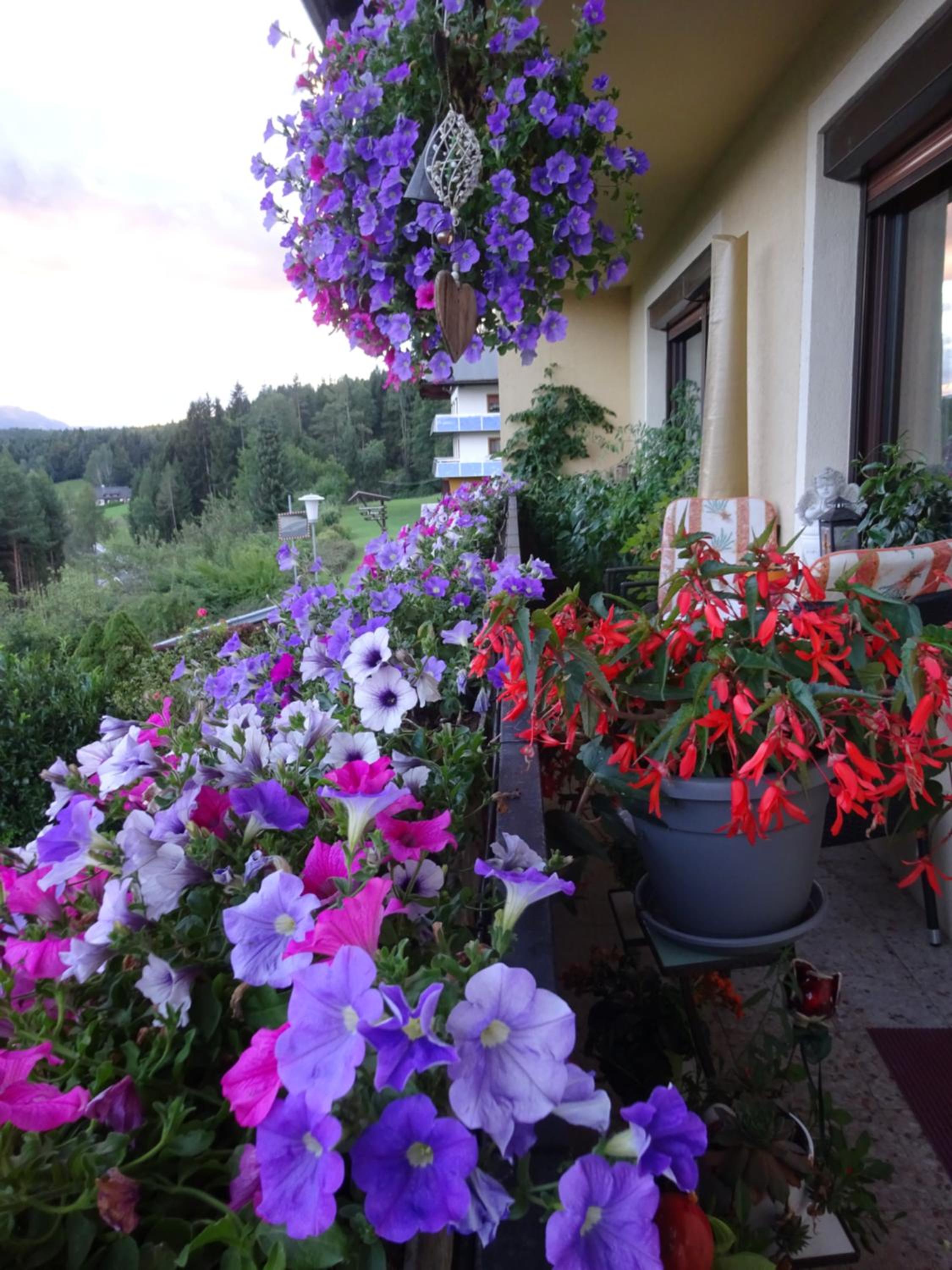 Appartement - Ferienwohnungen - Gästehaus Gabriele