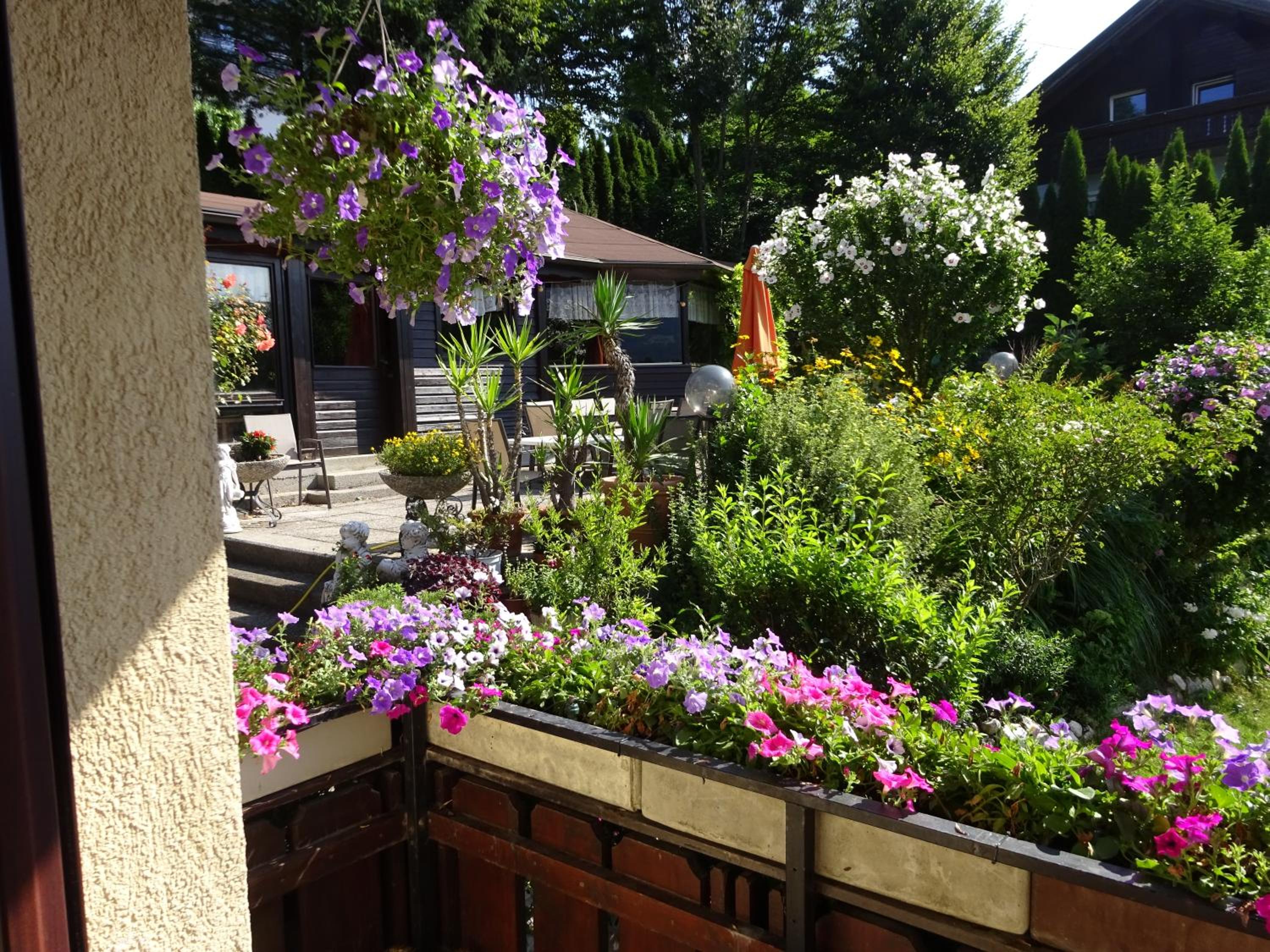 Appartement - Ferienwohnungen - Gästehaus Gabriele