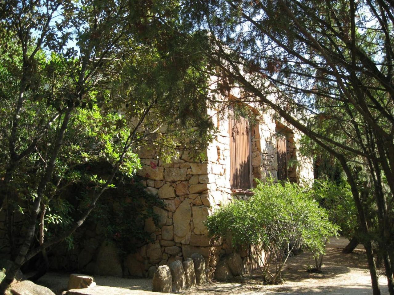 Photo 31