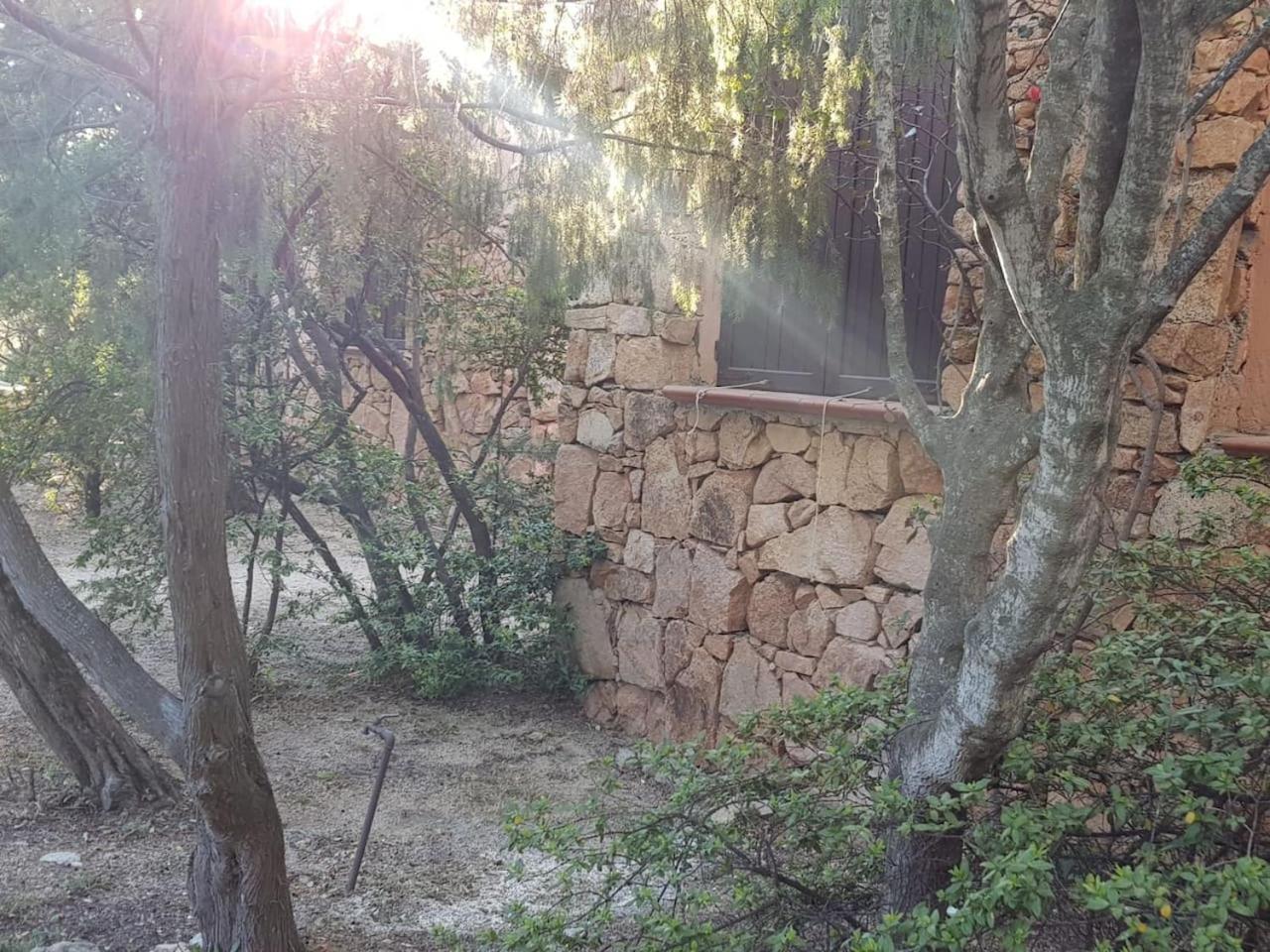 Photo 34