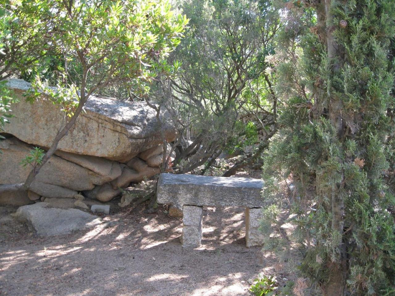 Photo 38
