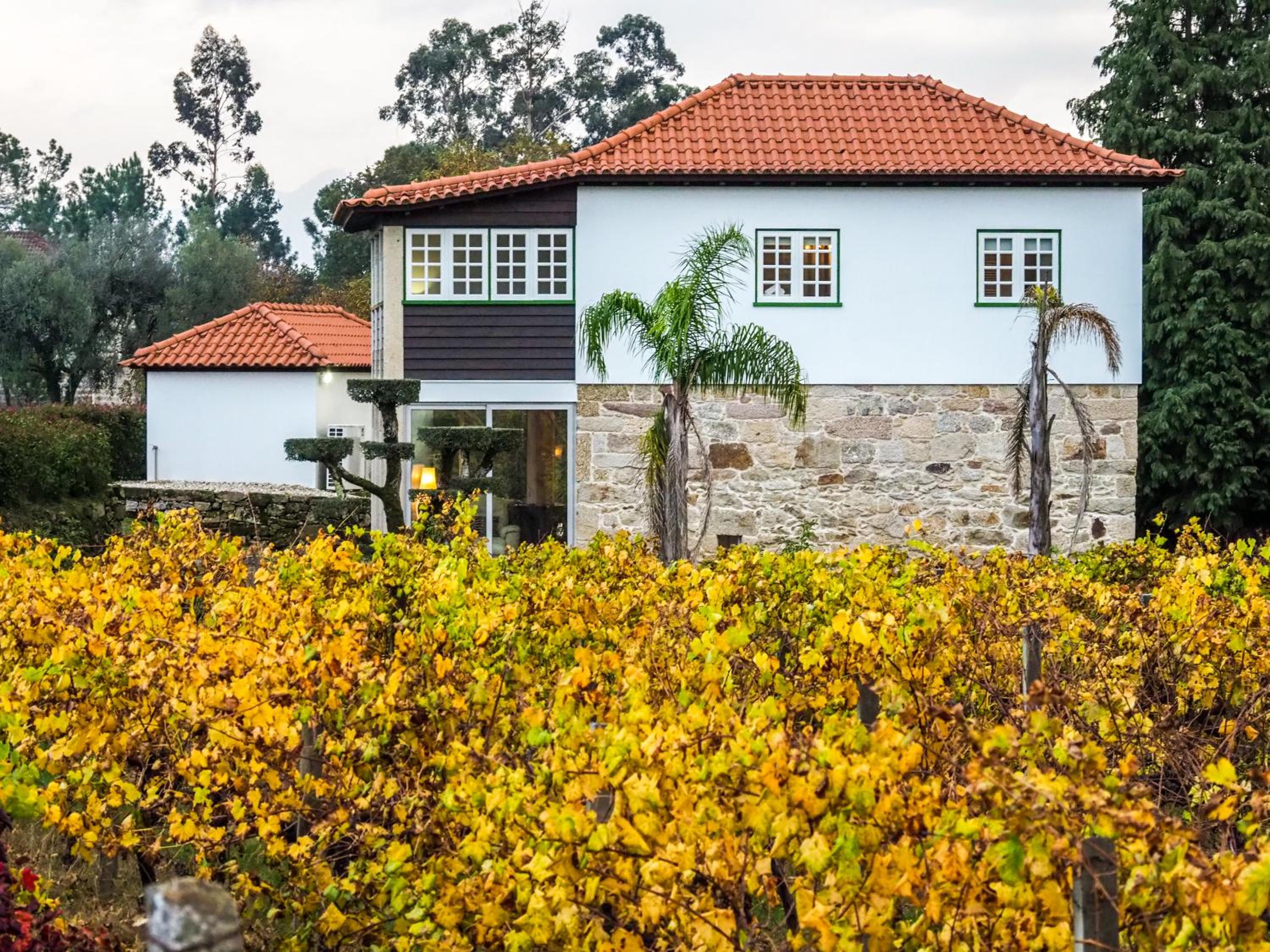 Casa da Vinha view 3