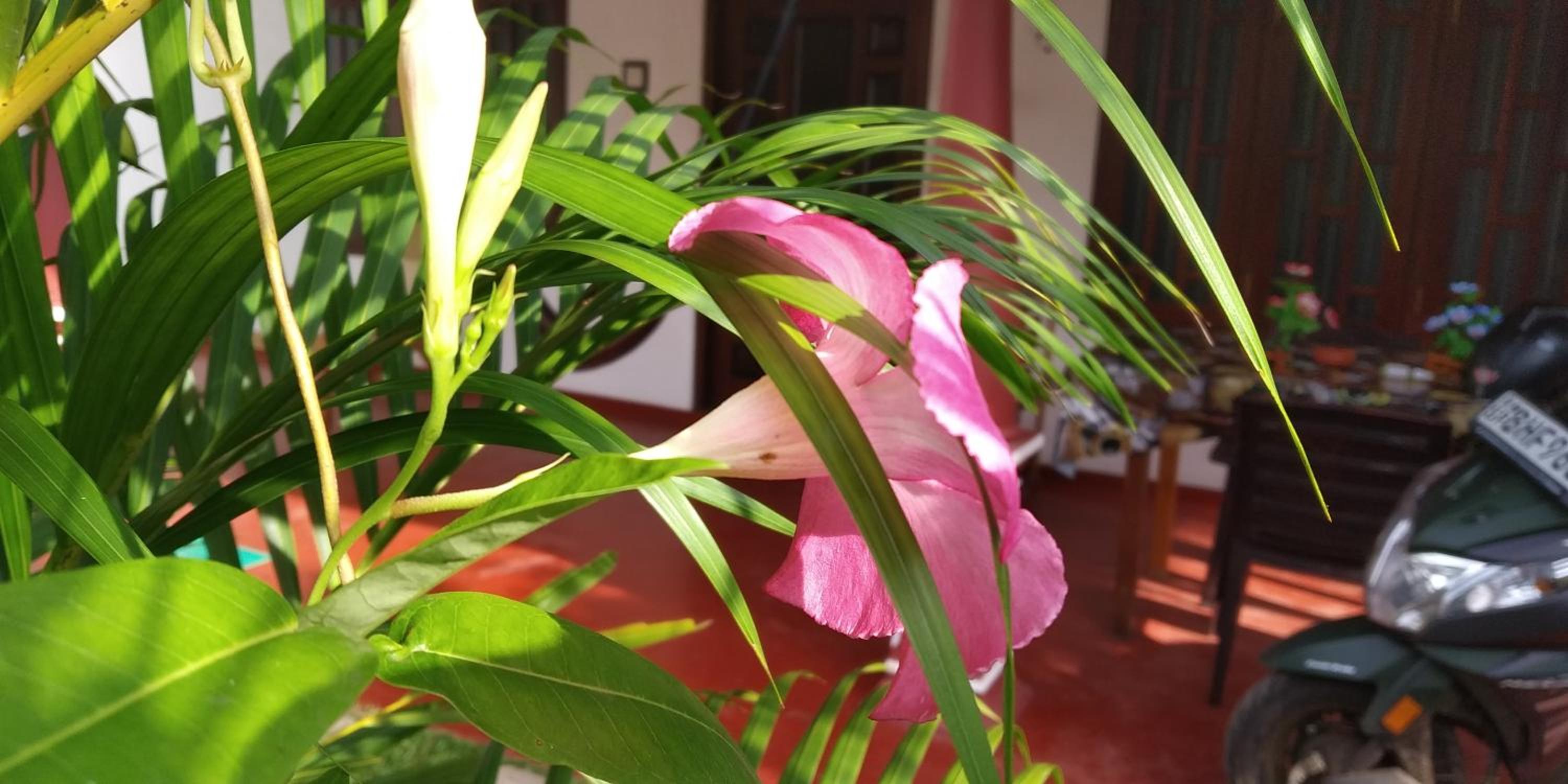 Photo 48