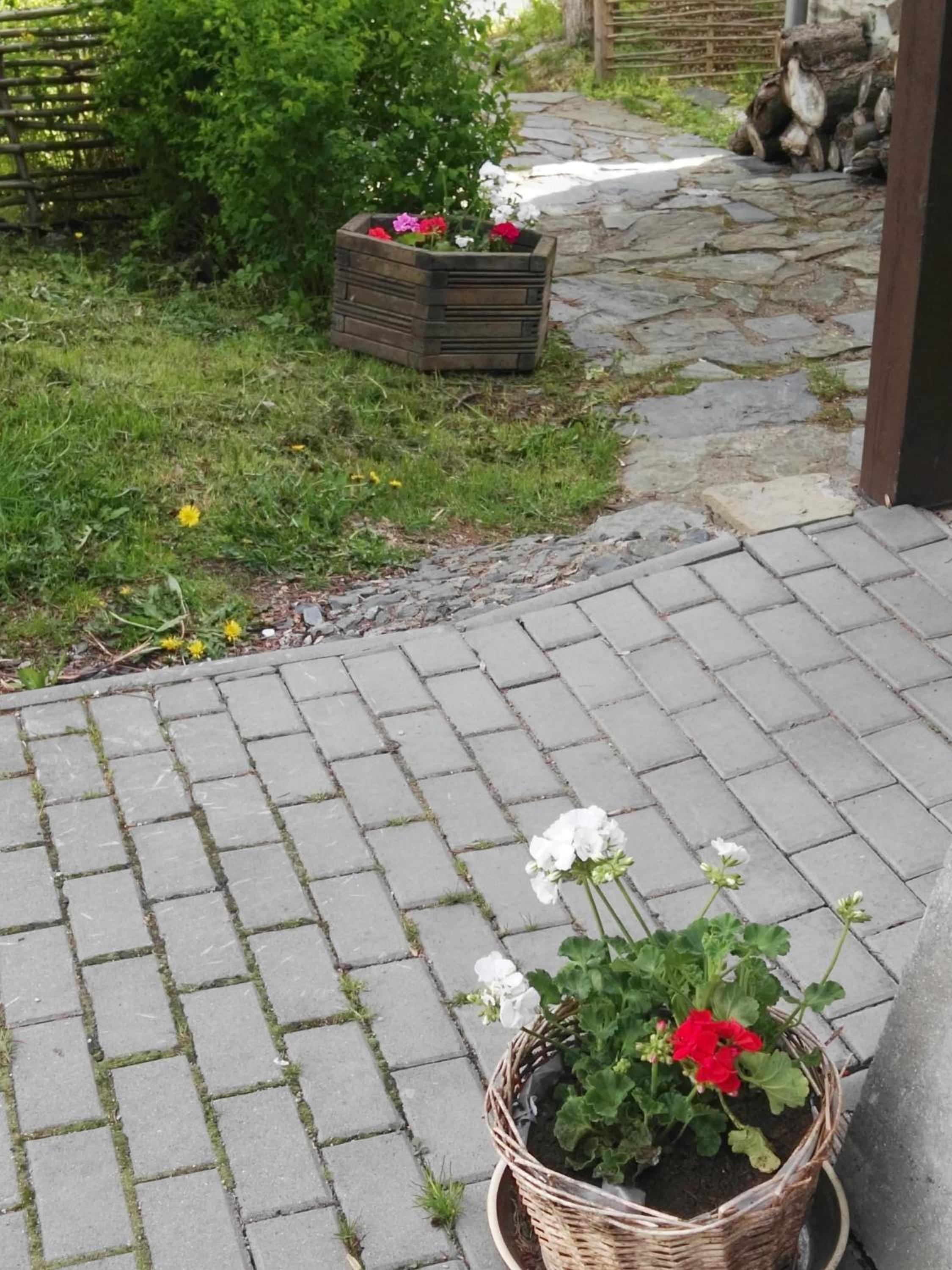 Photo 25