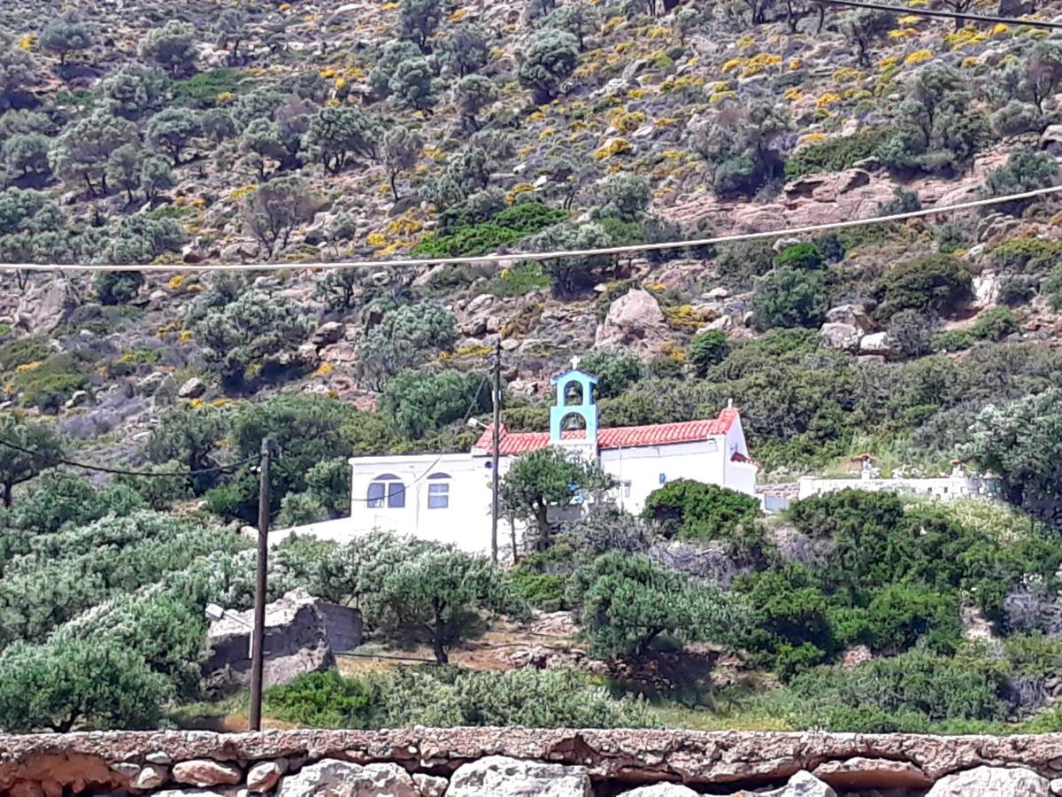 Photo 19