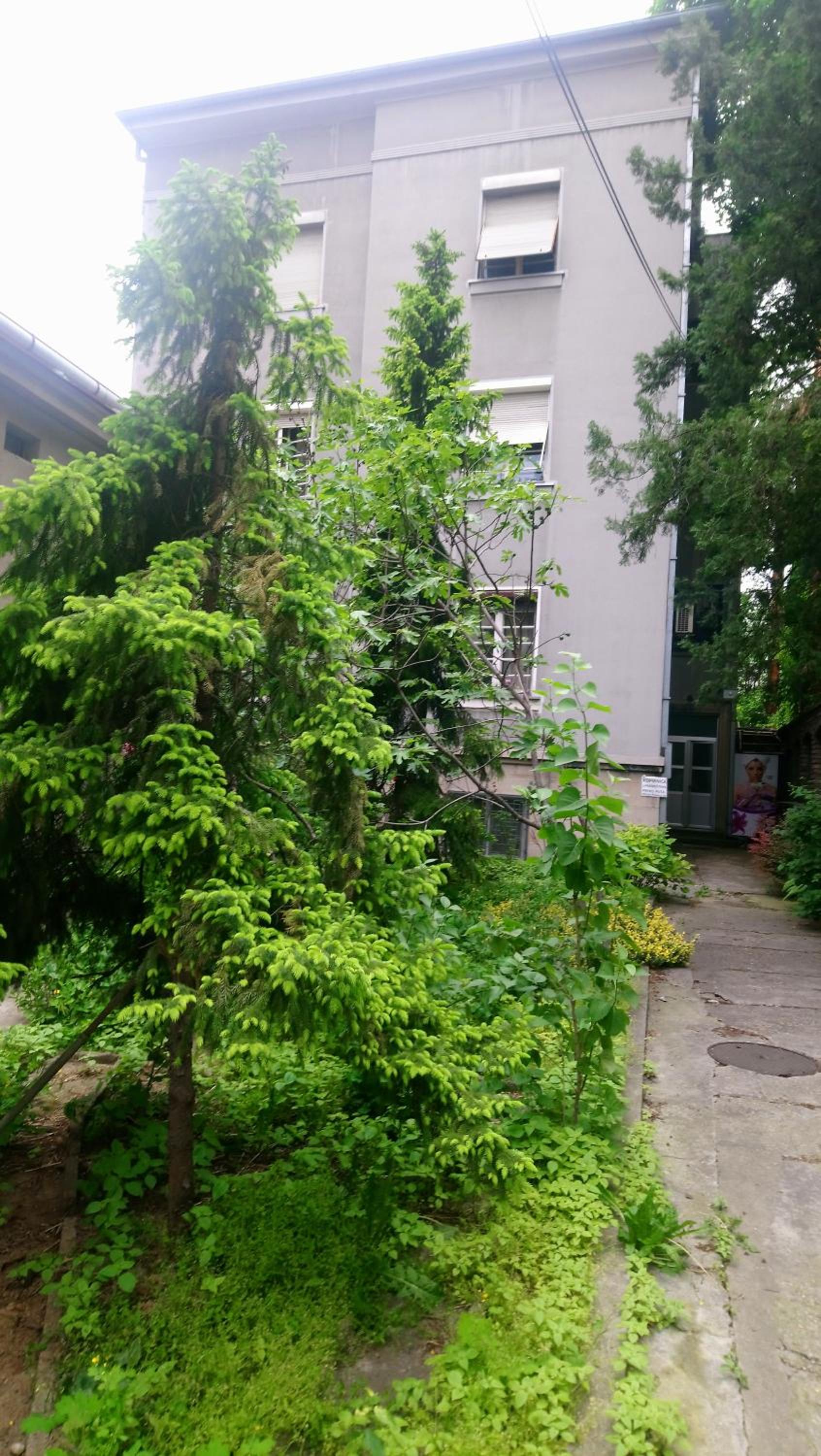 Photo 11