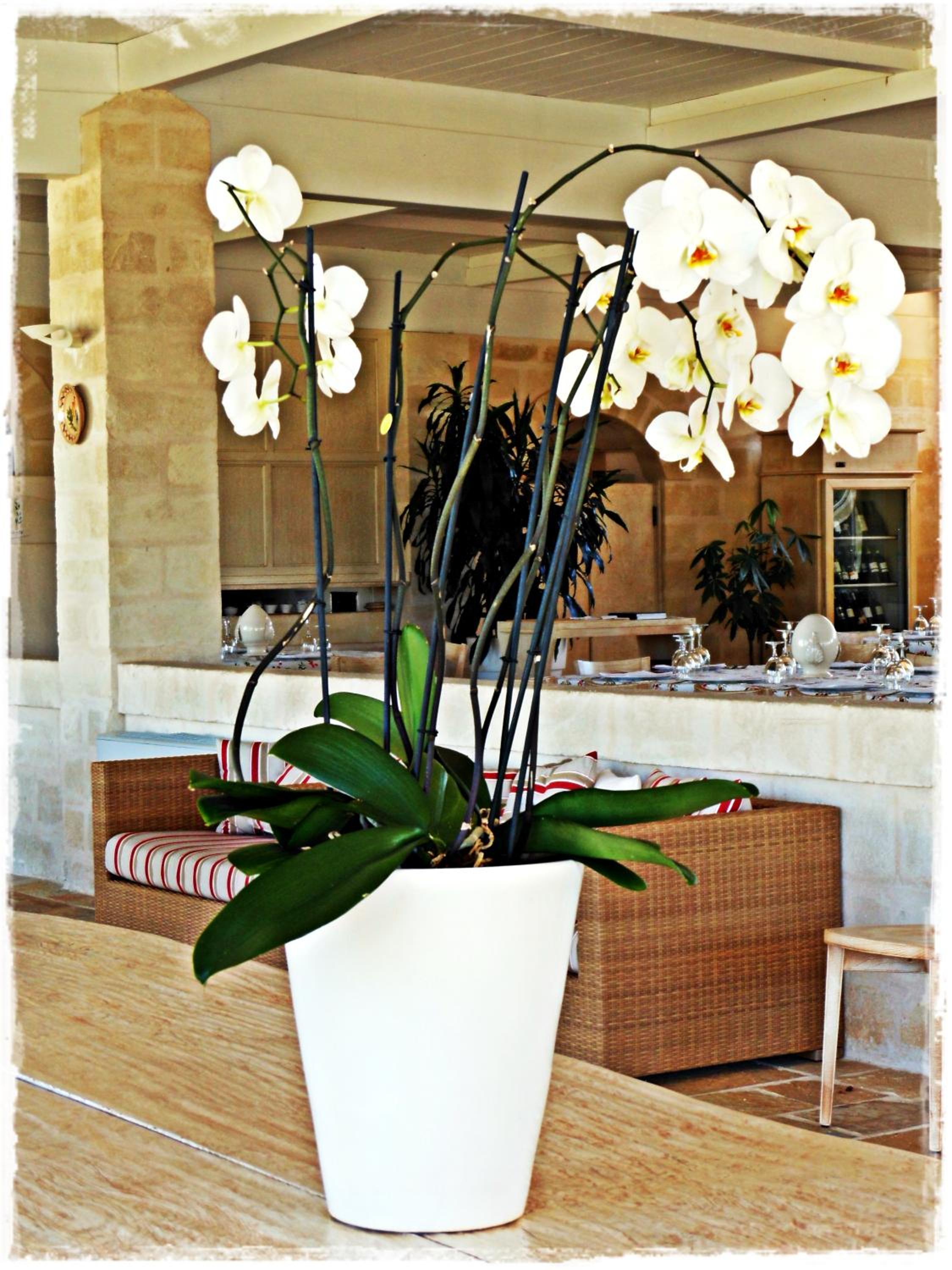 Masseria Torre Del Diamante