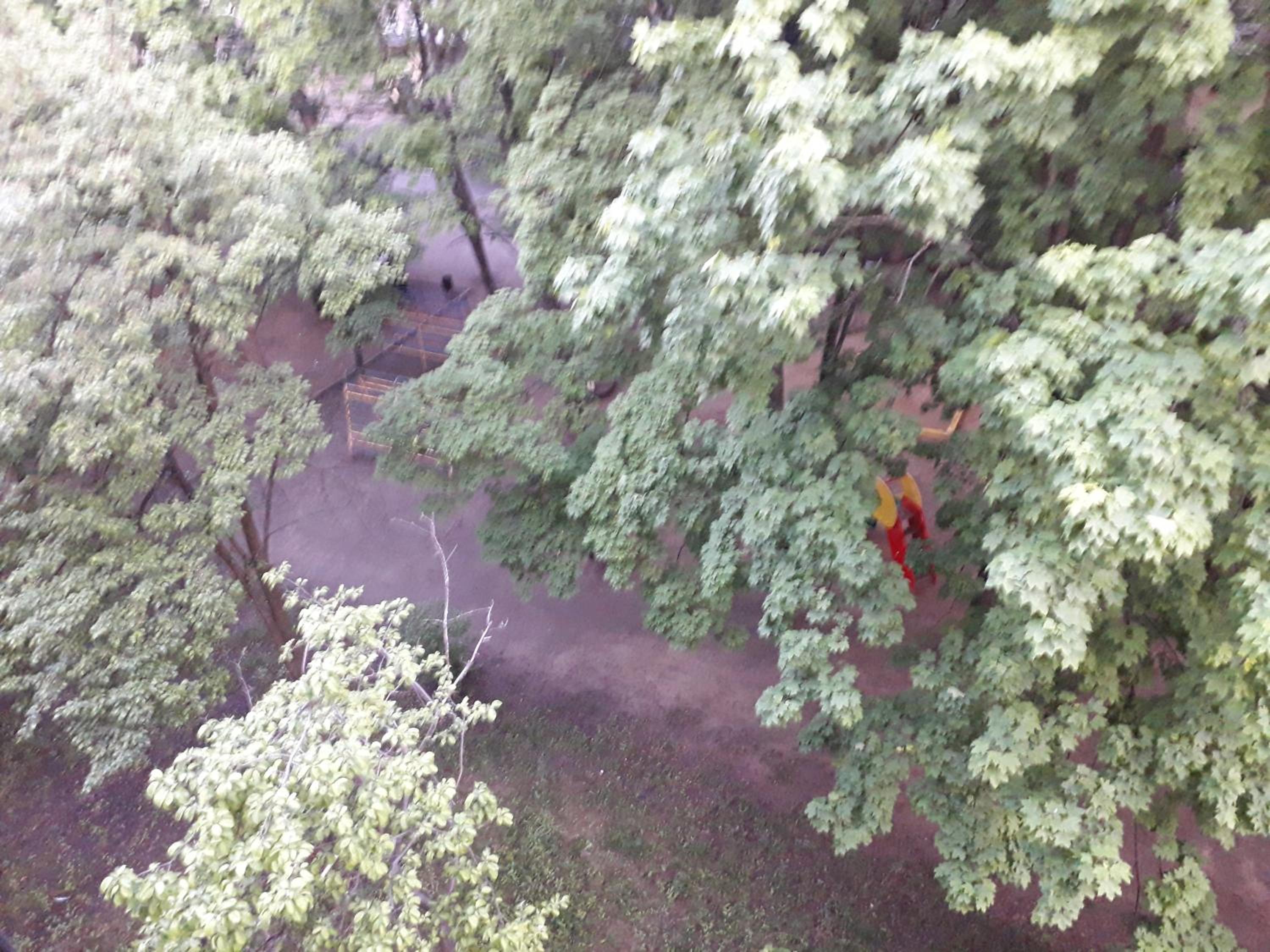 Photo 43