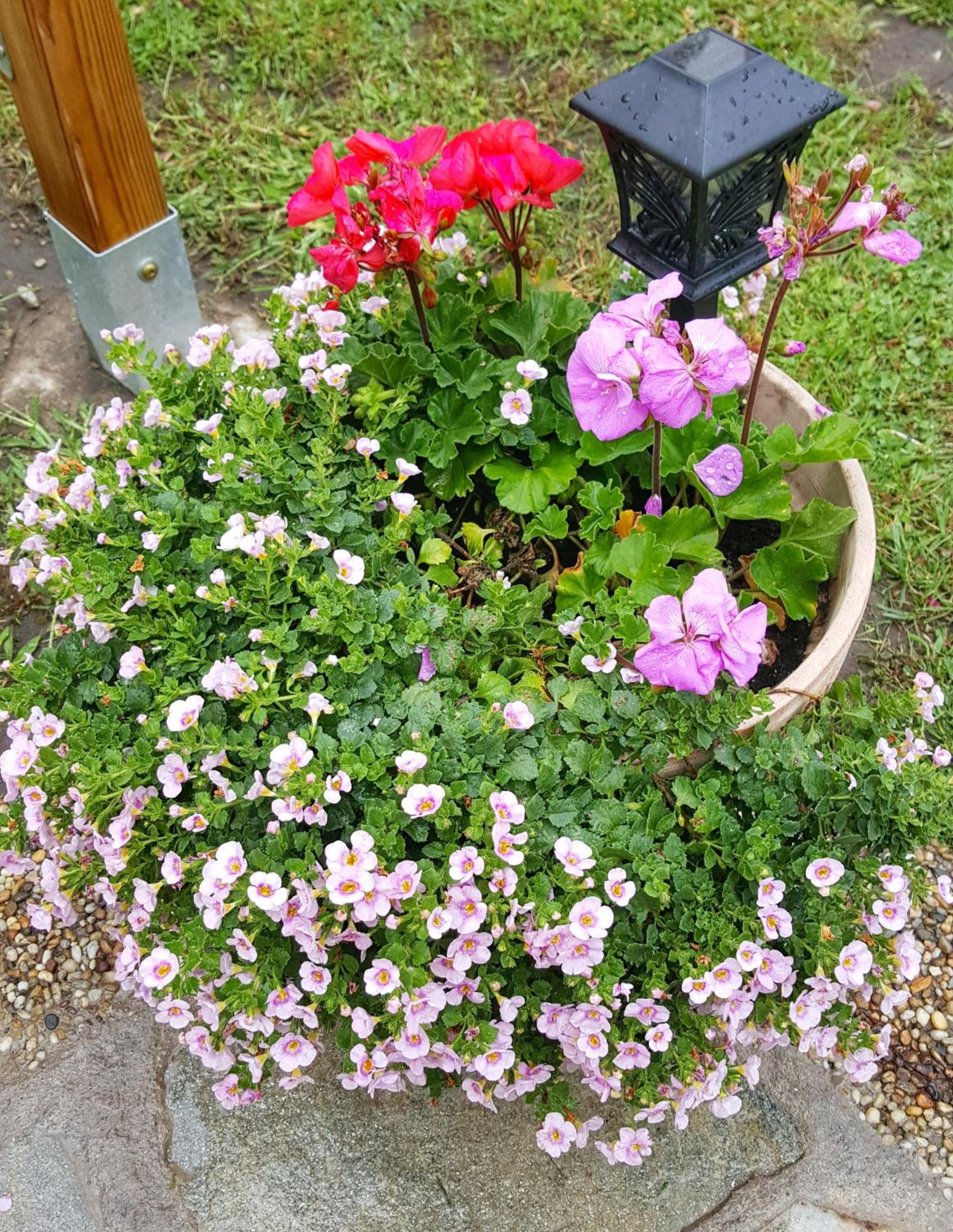 Photo 44
