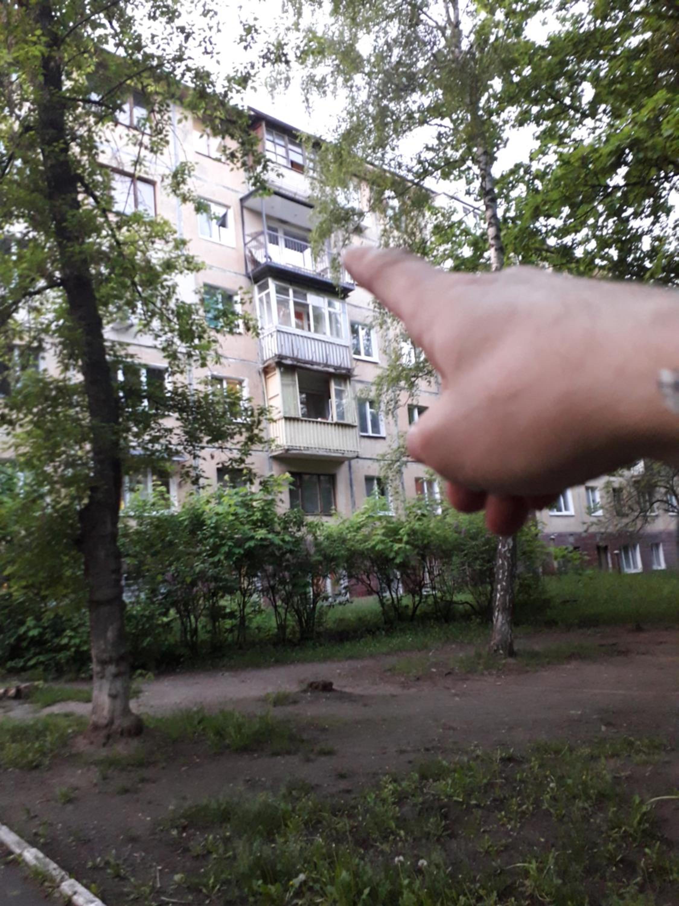 Photo 46