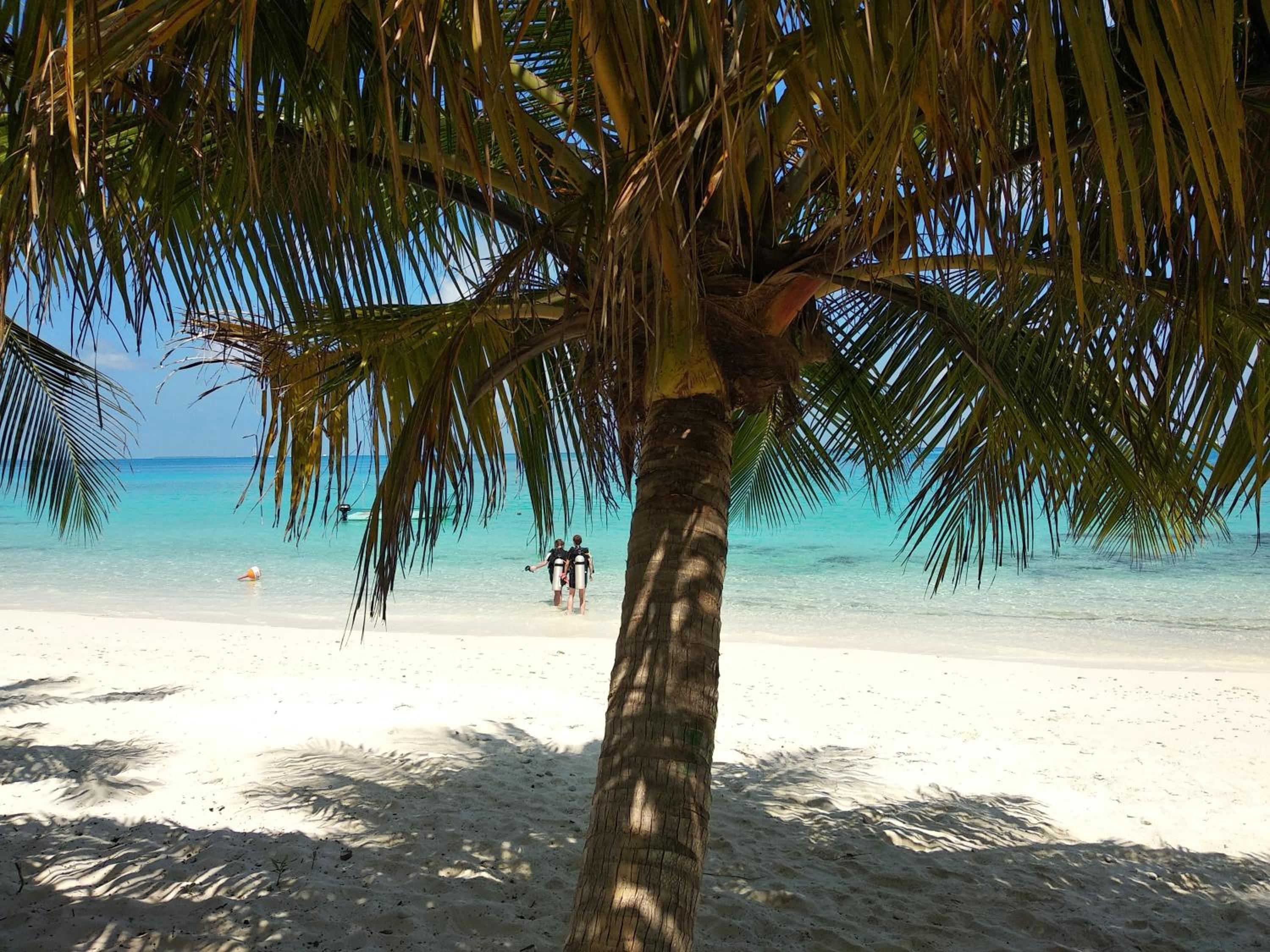 Dhigurah Beach Inn photo 5