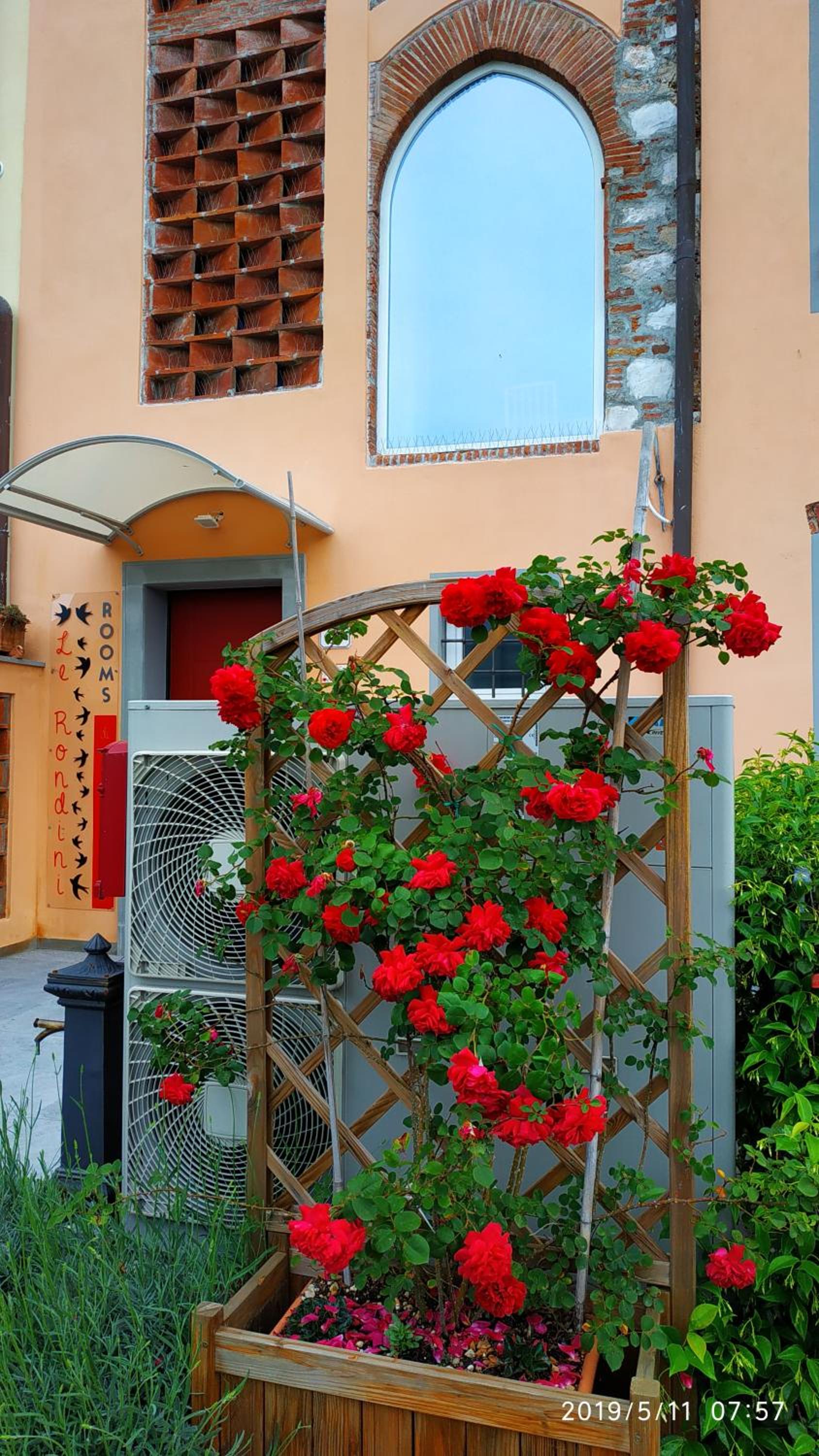 Le rondini di San Donato