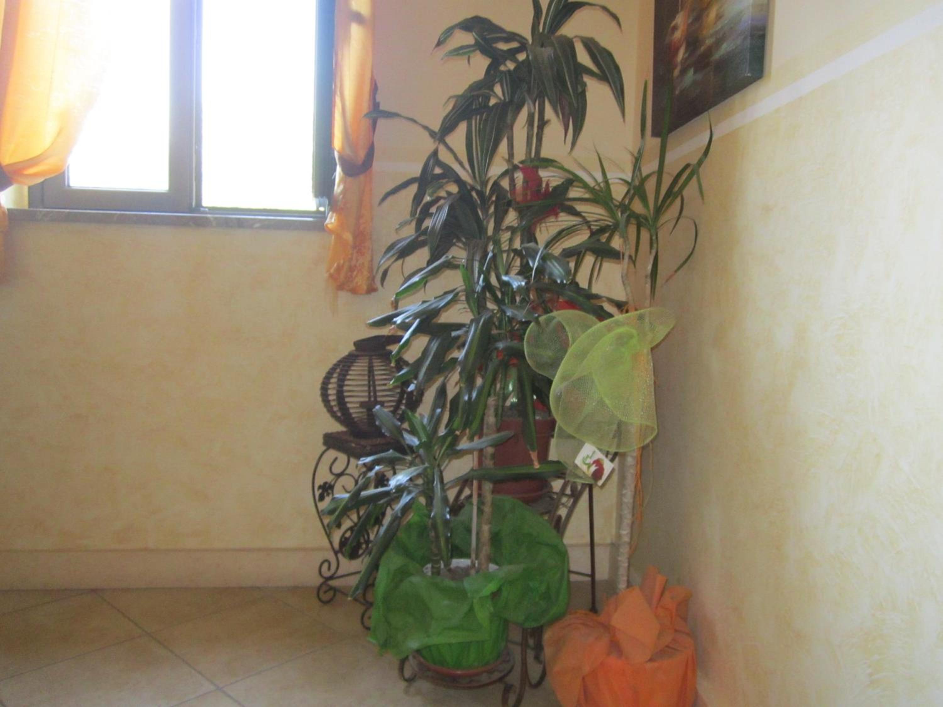 B&B Il Sole Nascente