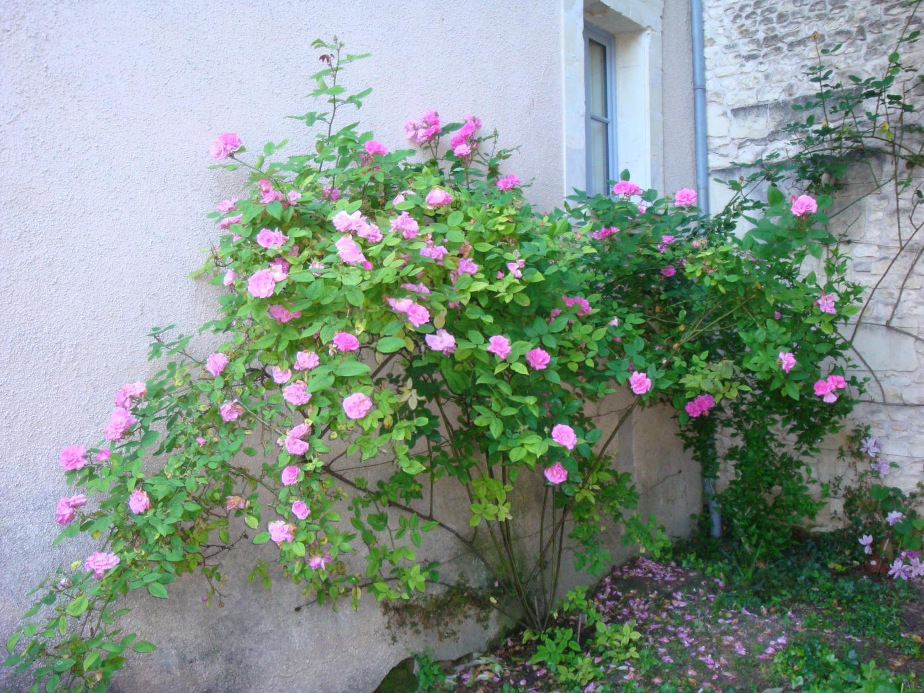 Manoir d'Orbé