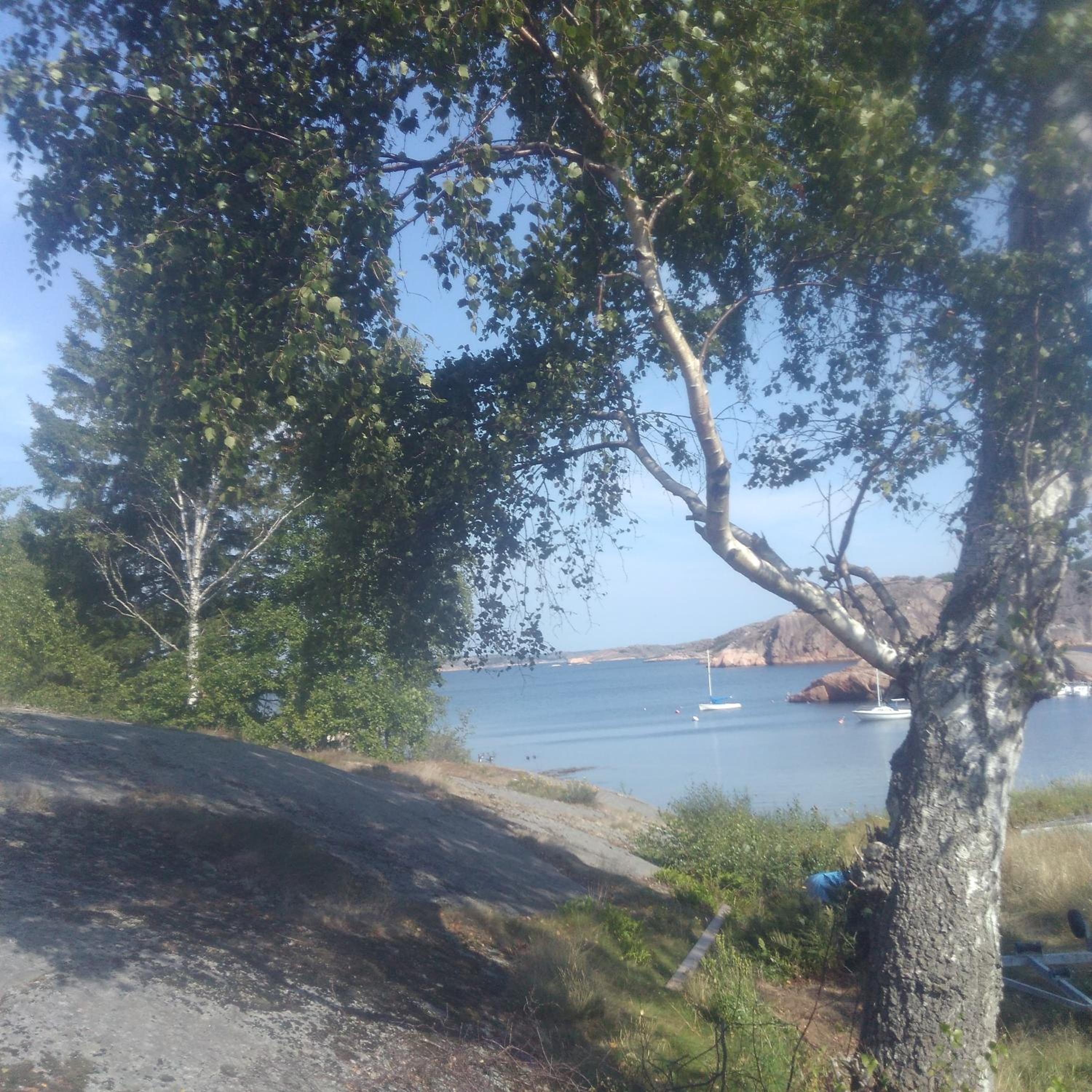 Tjörn semesterboende view 3