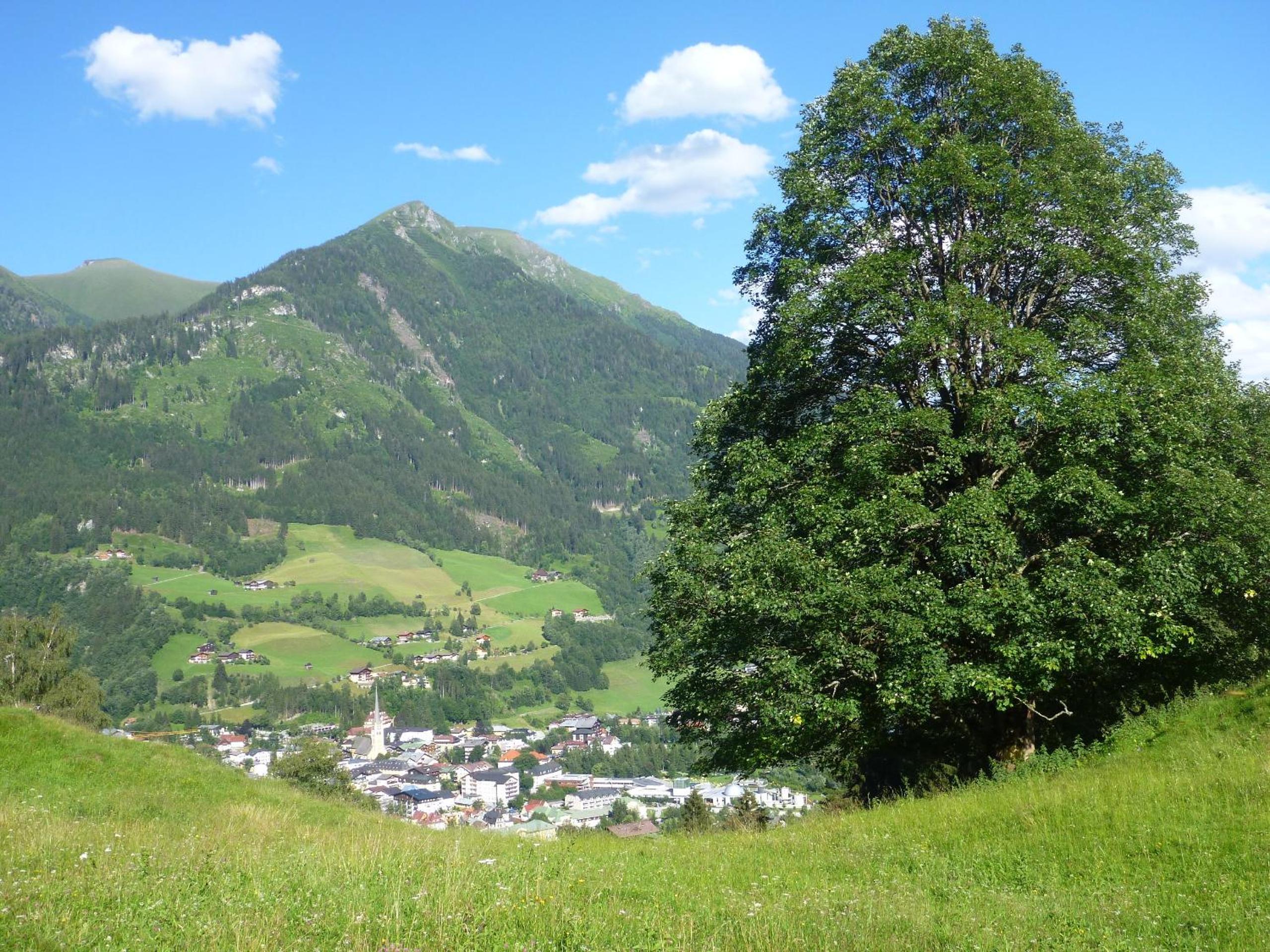 Biohof Maurachgut