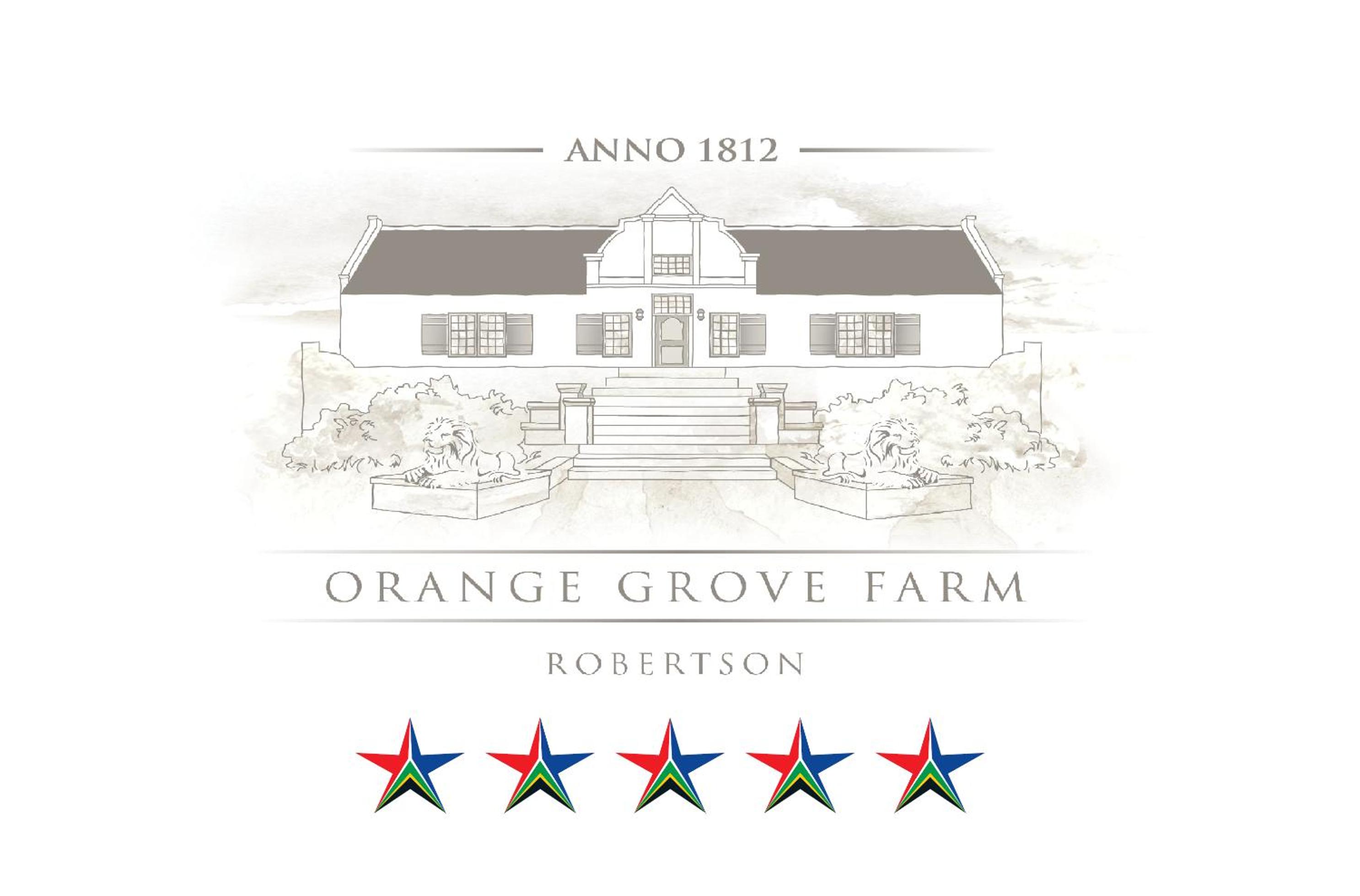 Orange Grove