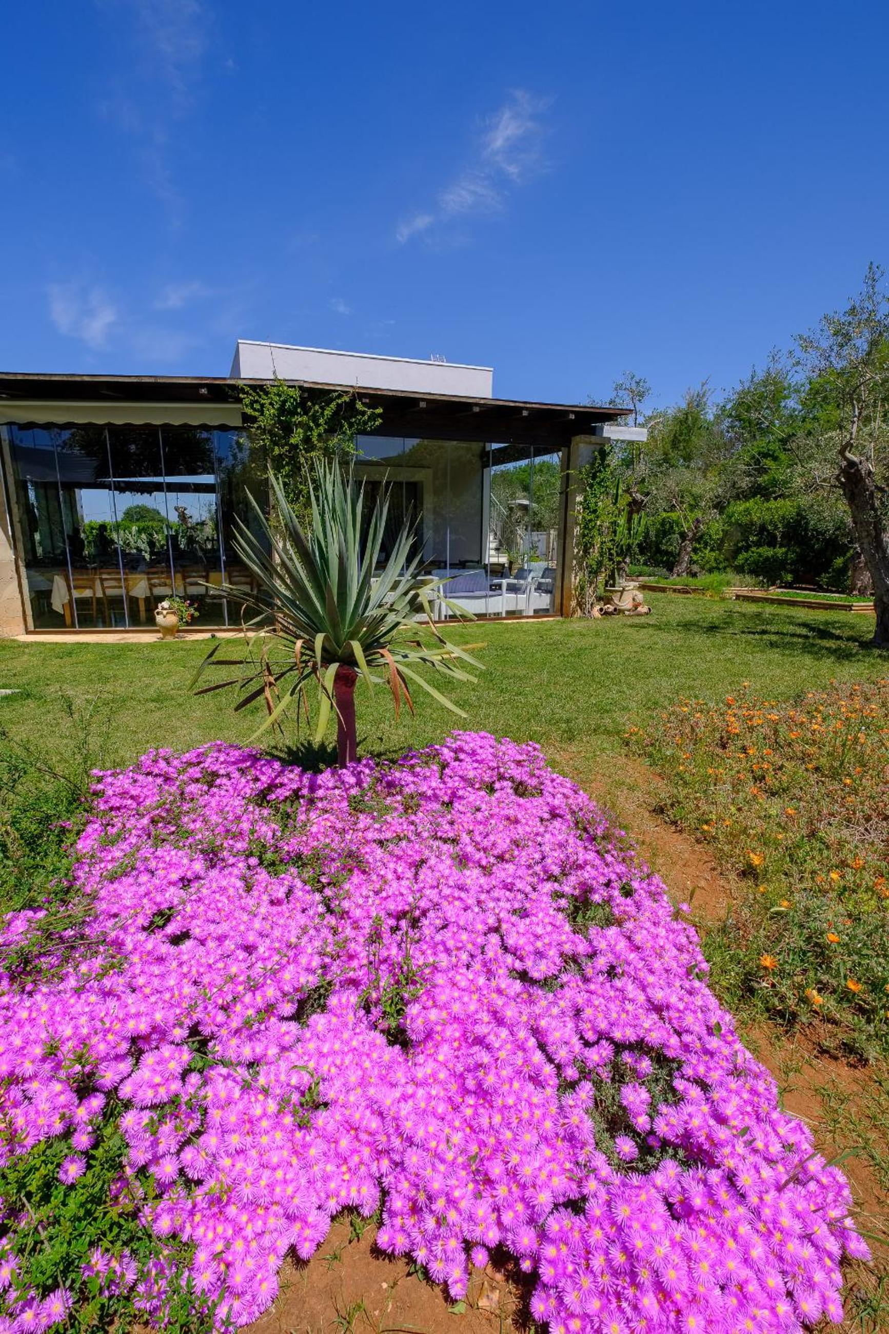 Agriturismo Calamate