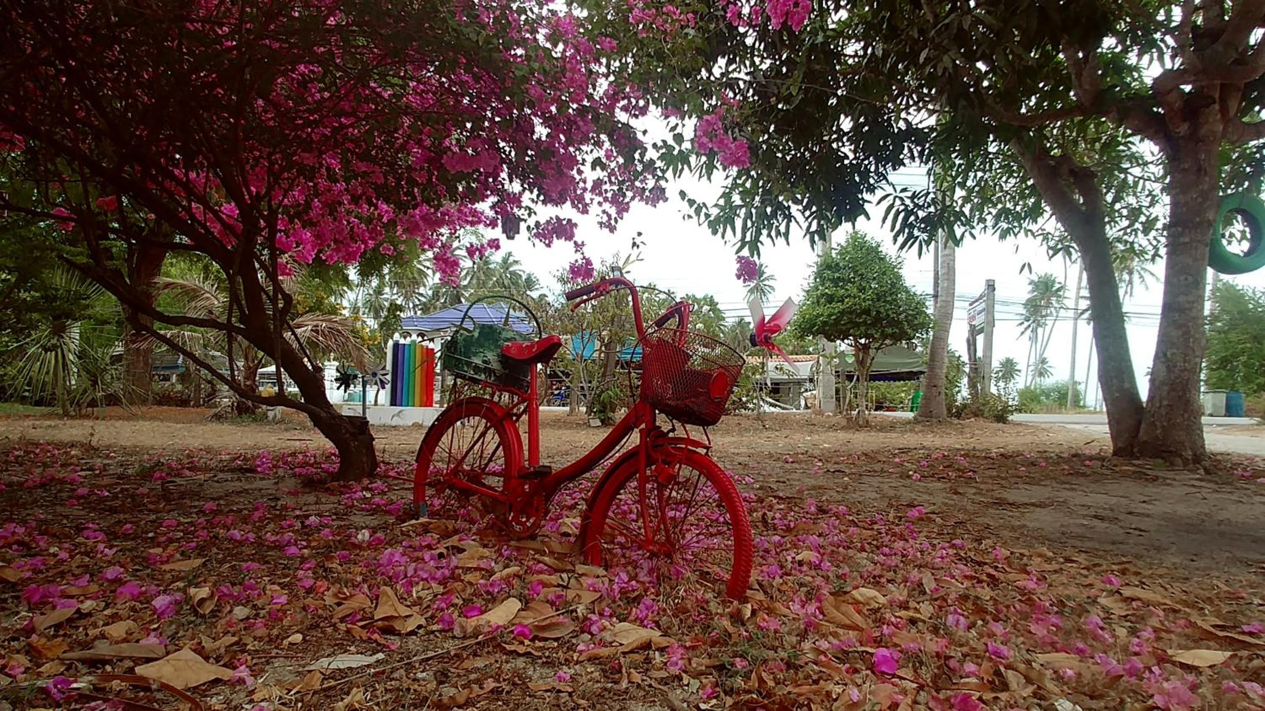 Wandee Resort Bankrut