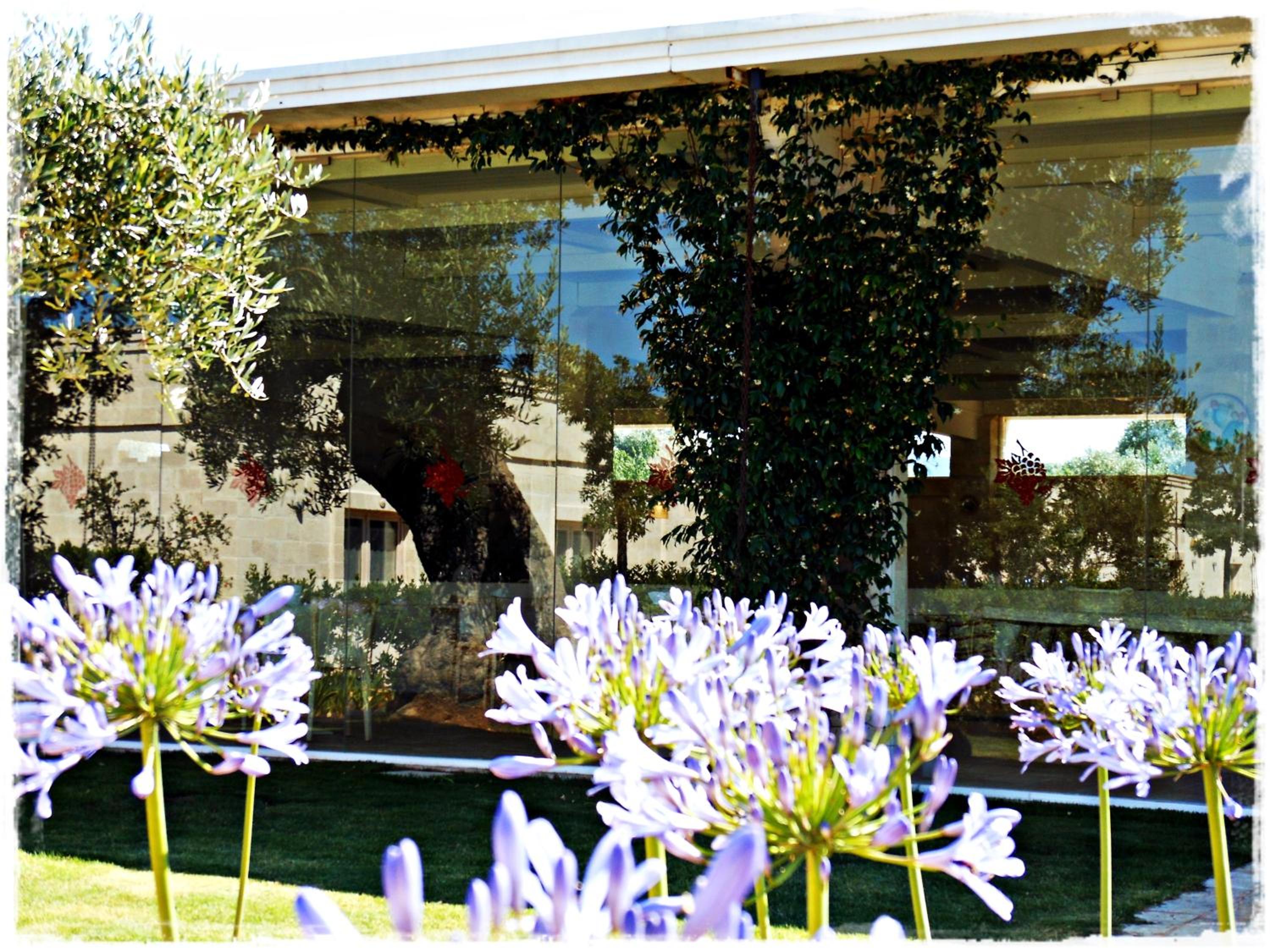 Hotel Masseria Torre Del Diamante - Image 1