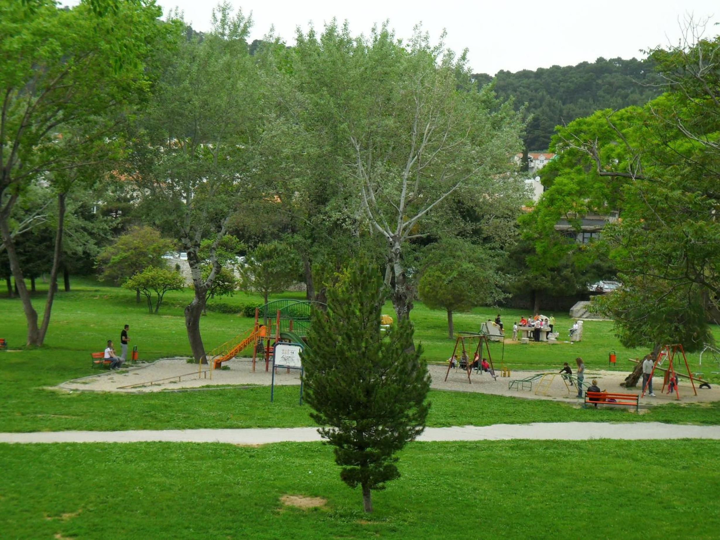 Photo 11