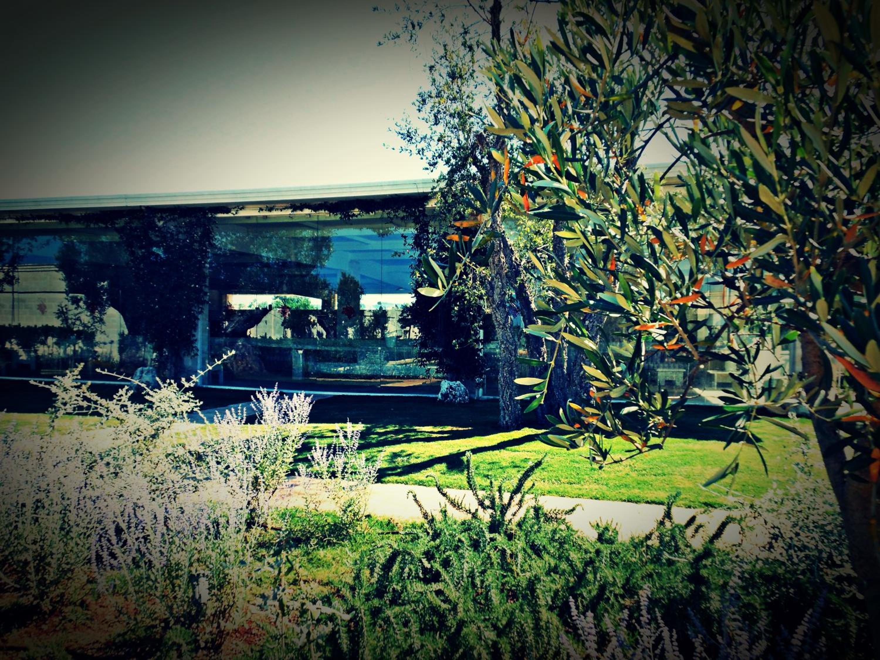 Masseria Torre Del Diamante