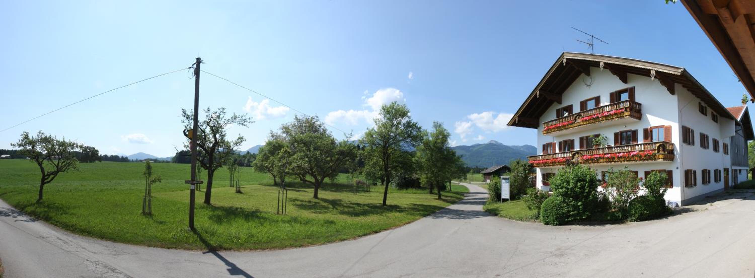 Beim Bicher