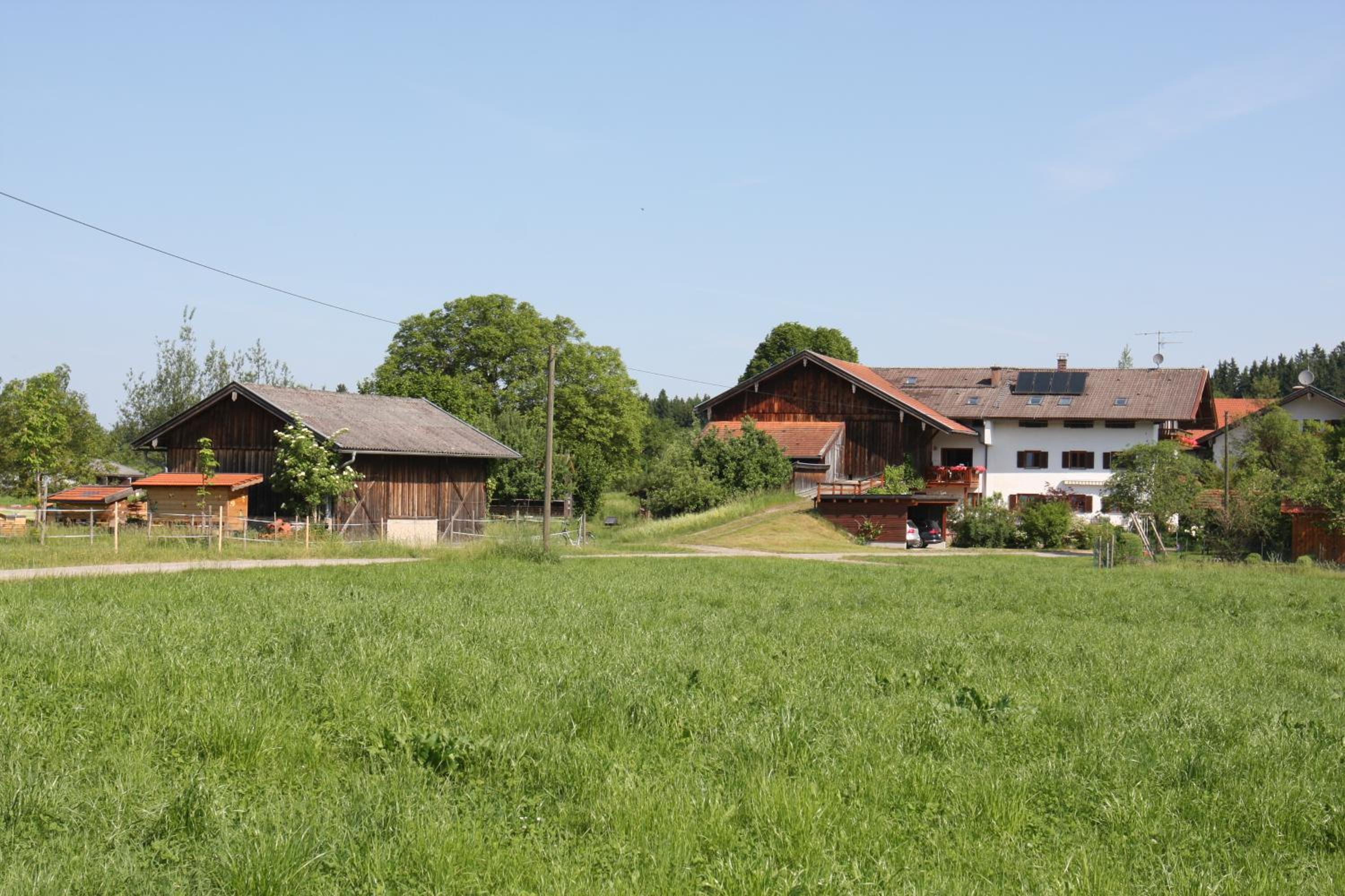 Beim Bicher