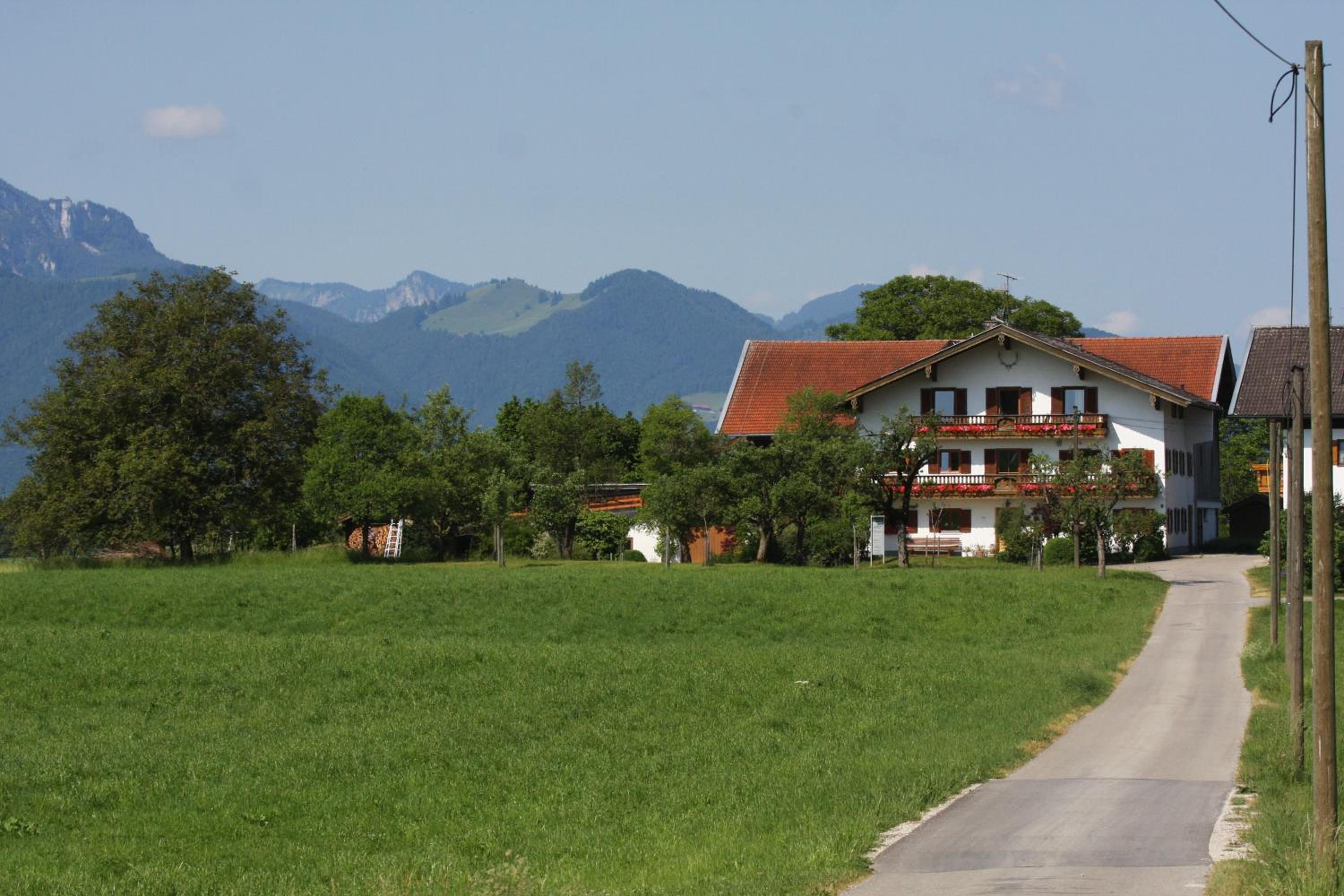 Beim Bicher
