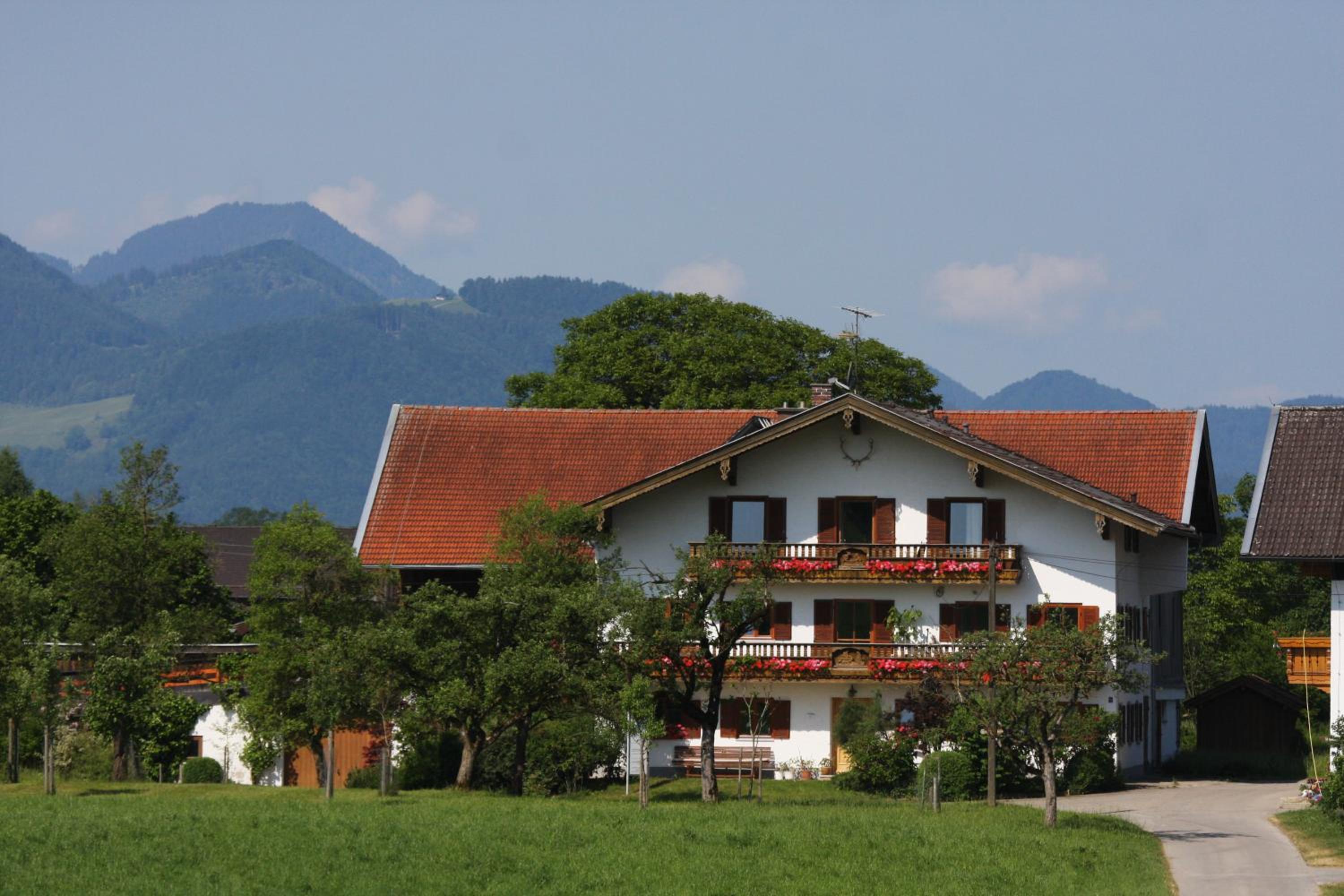 Beim Bicher