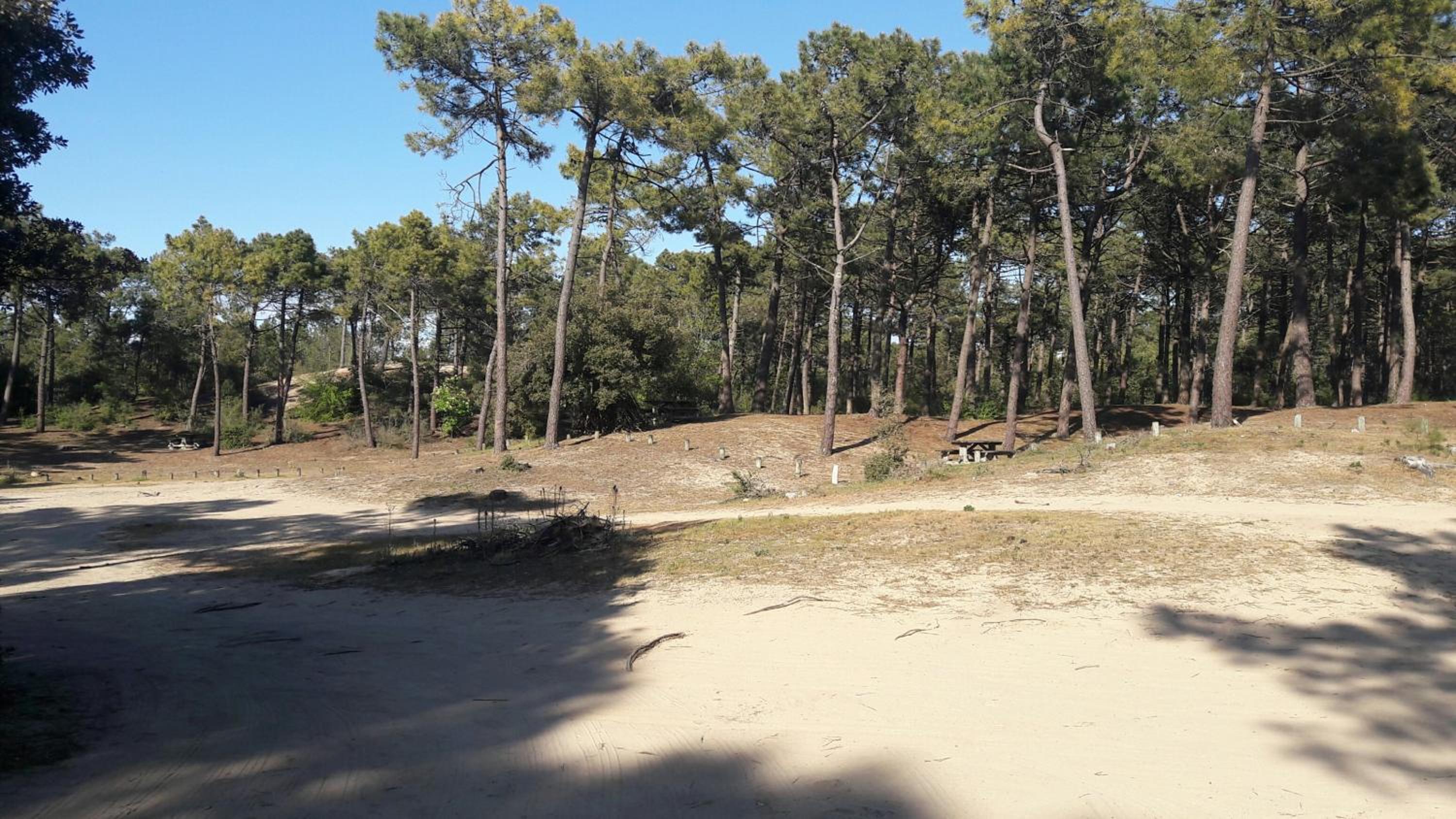 Camping de la Rive view 5