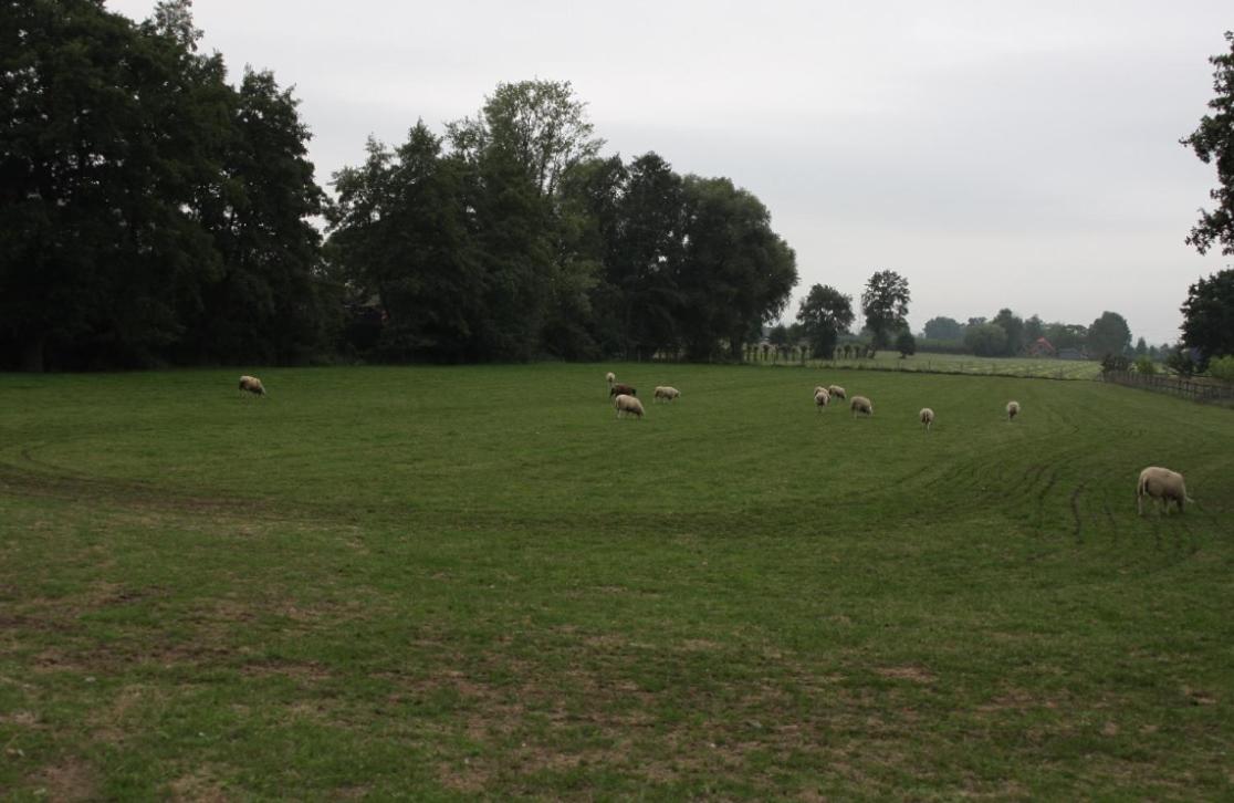 NeyenGreve view 5