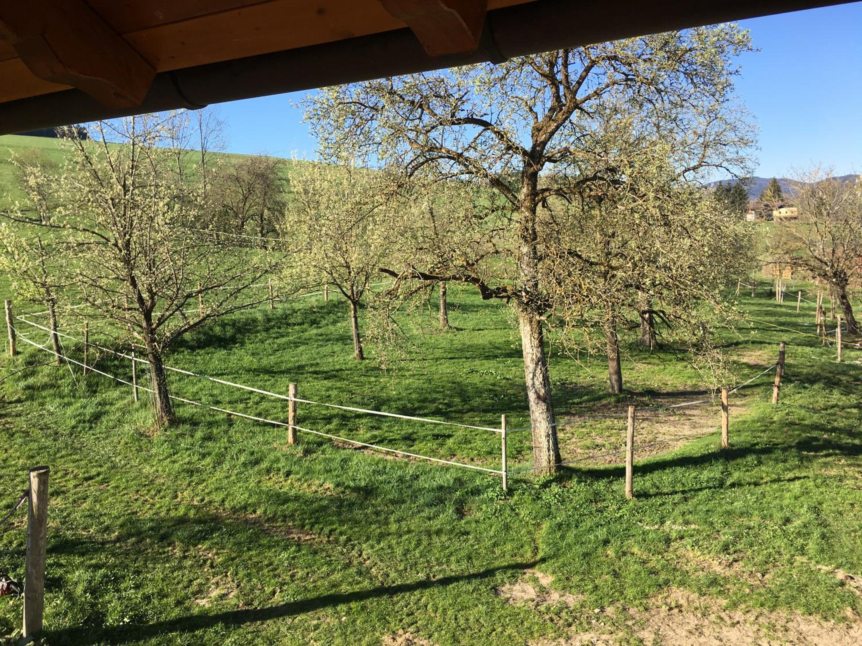 Ferienwohnungen Schlader