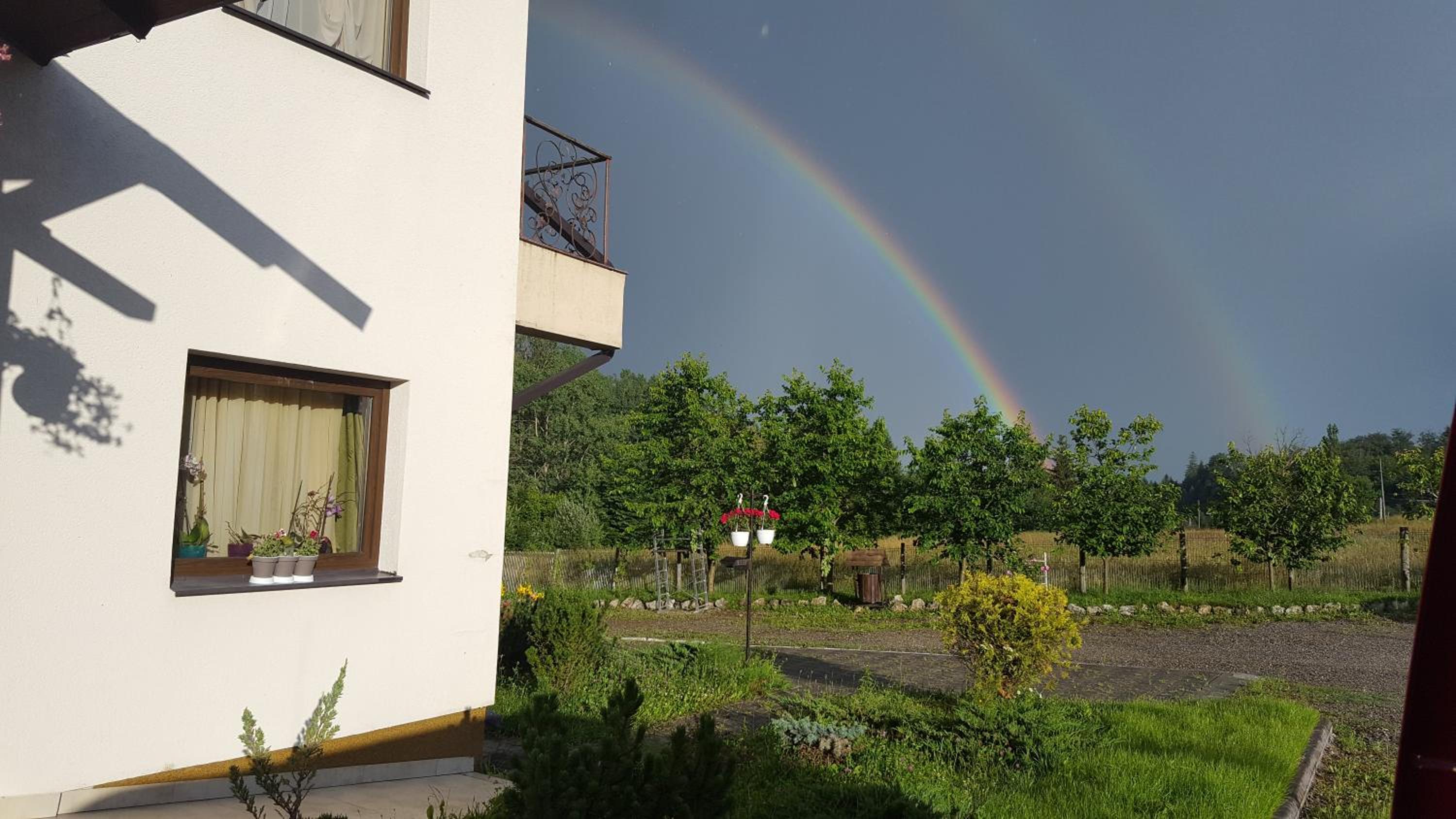 Photo 41