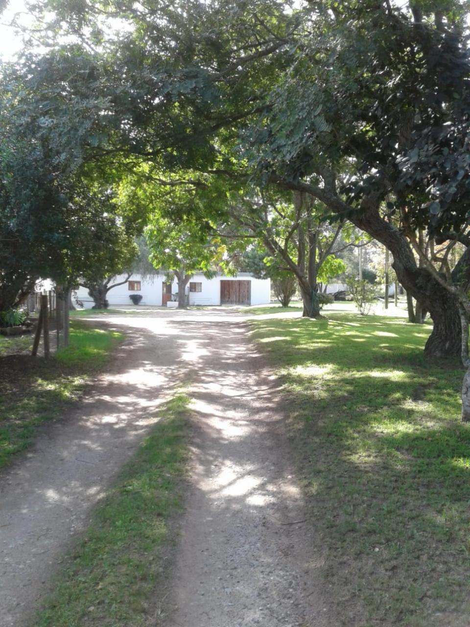 Photo 32