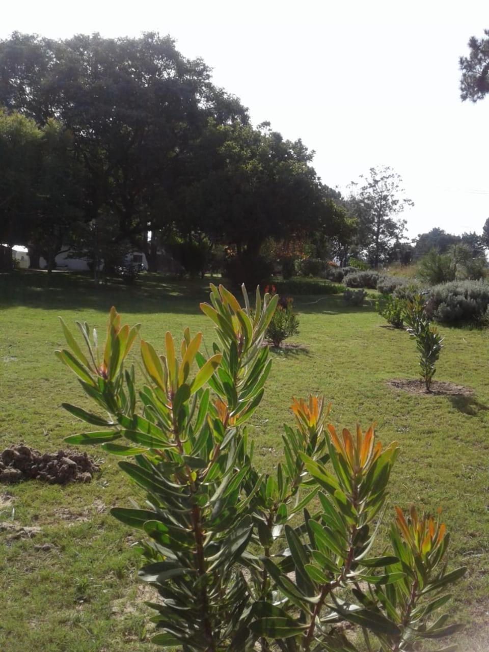 Photo 34