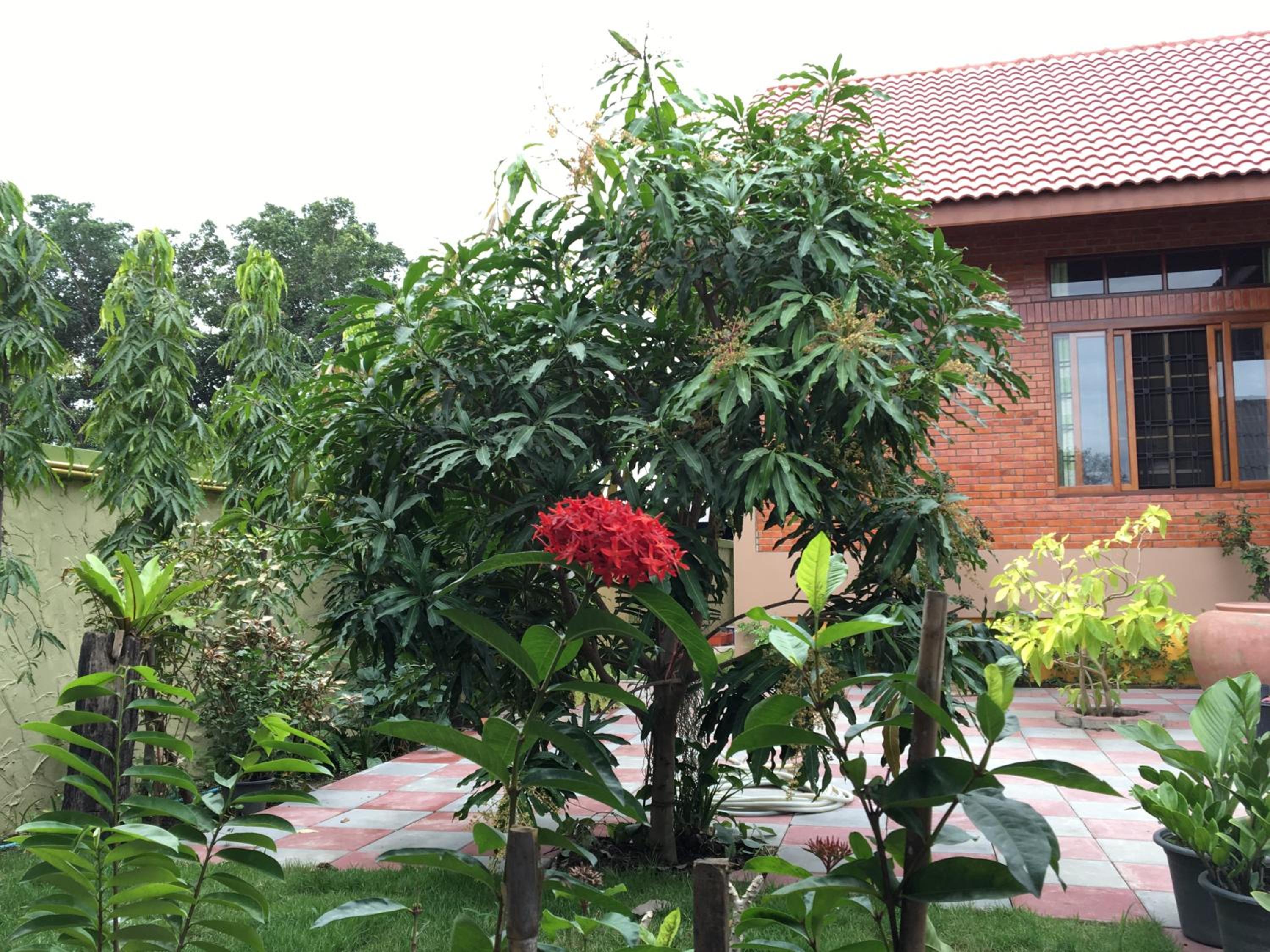 Baan Penny