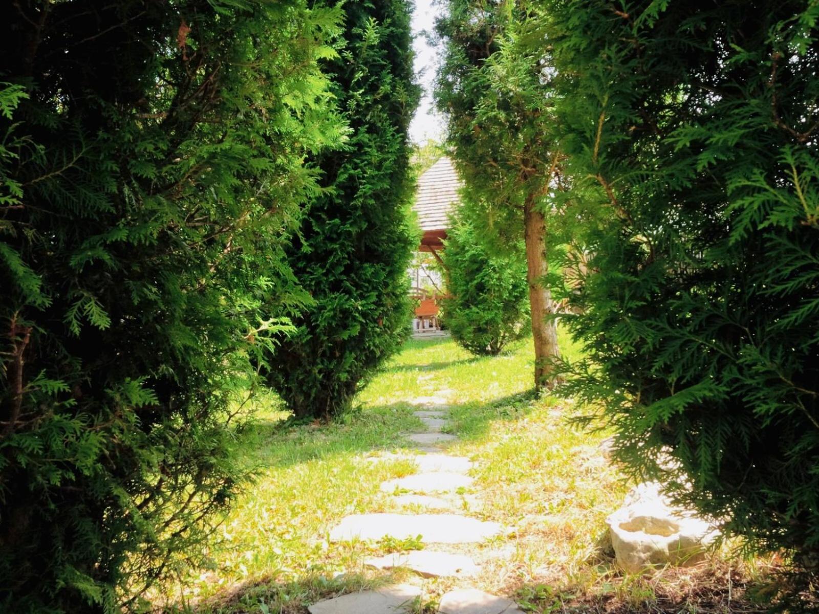Photo 33