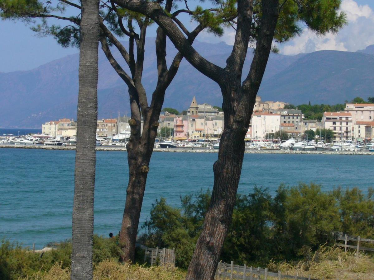 Saint Florent view 2
