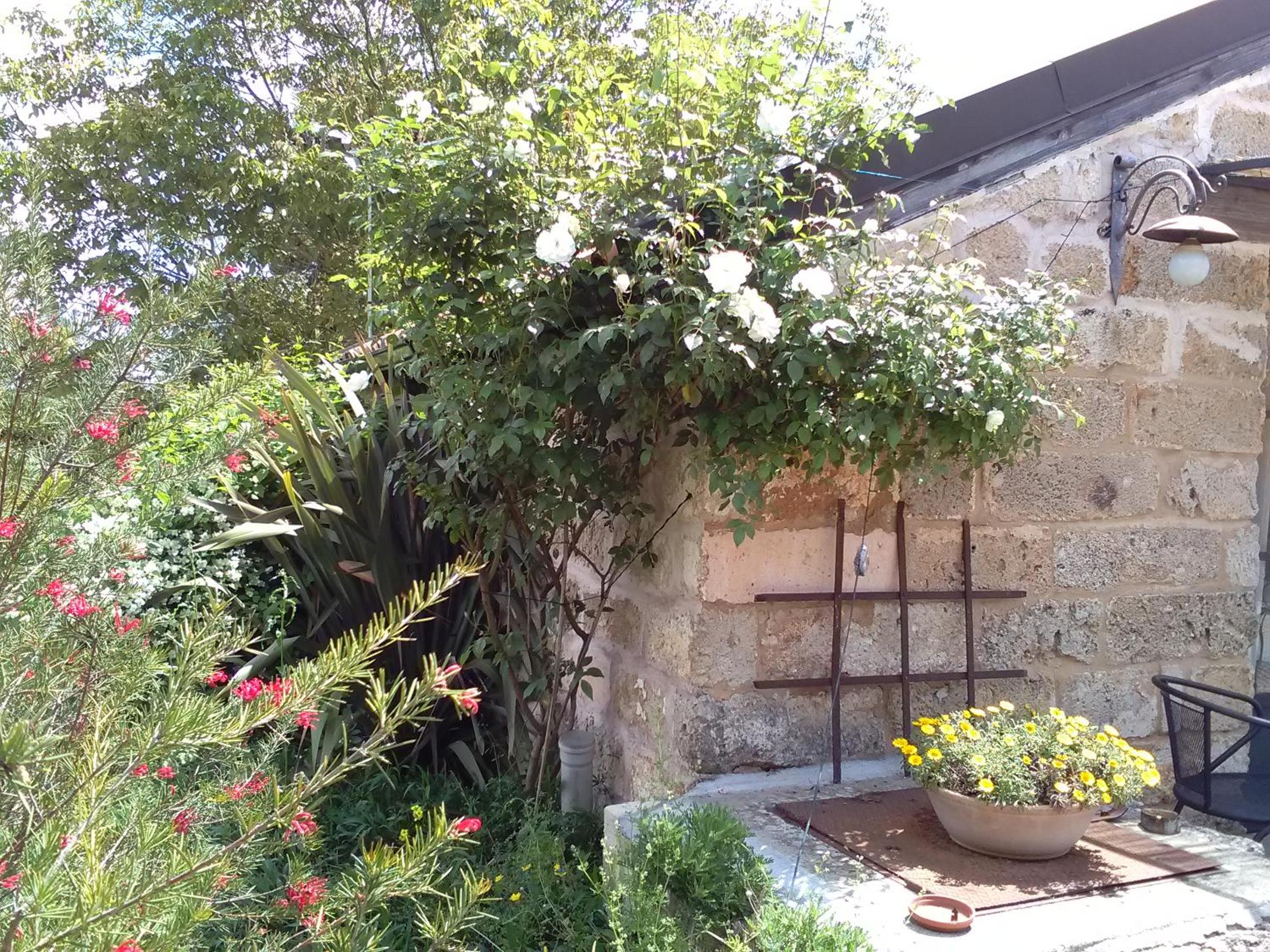 Photo 27