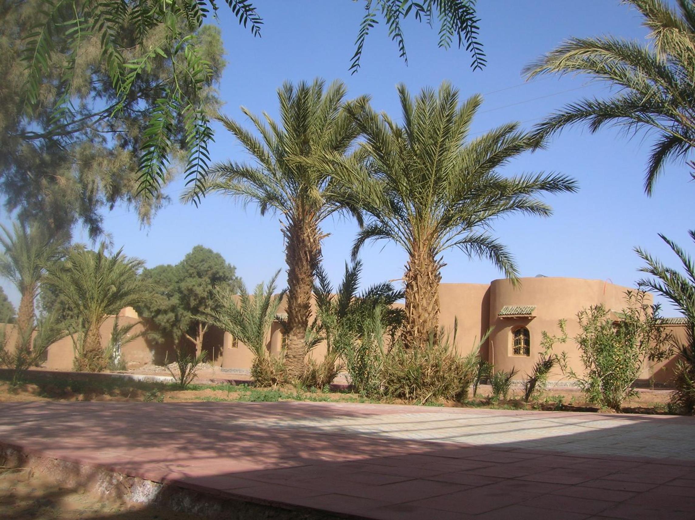 Photo 8
