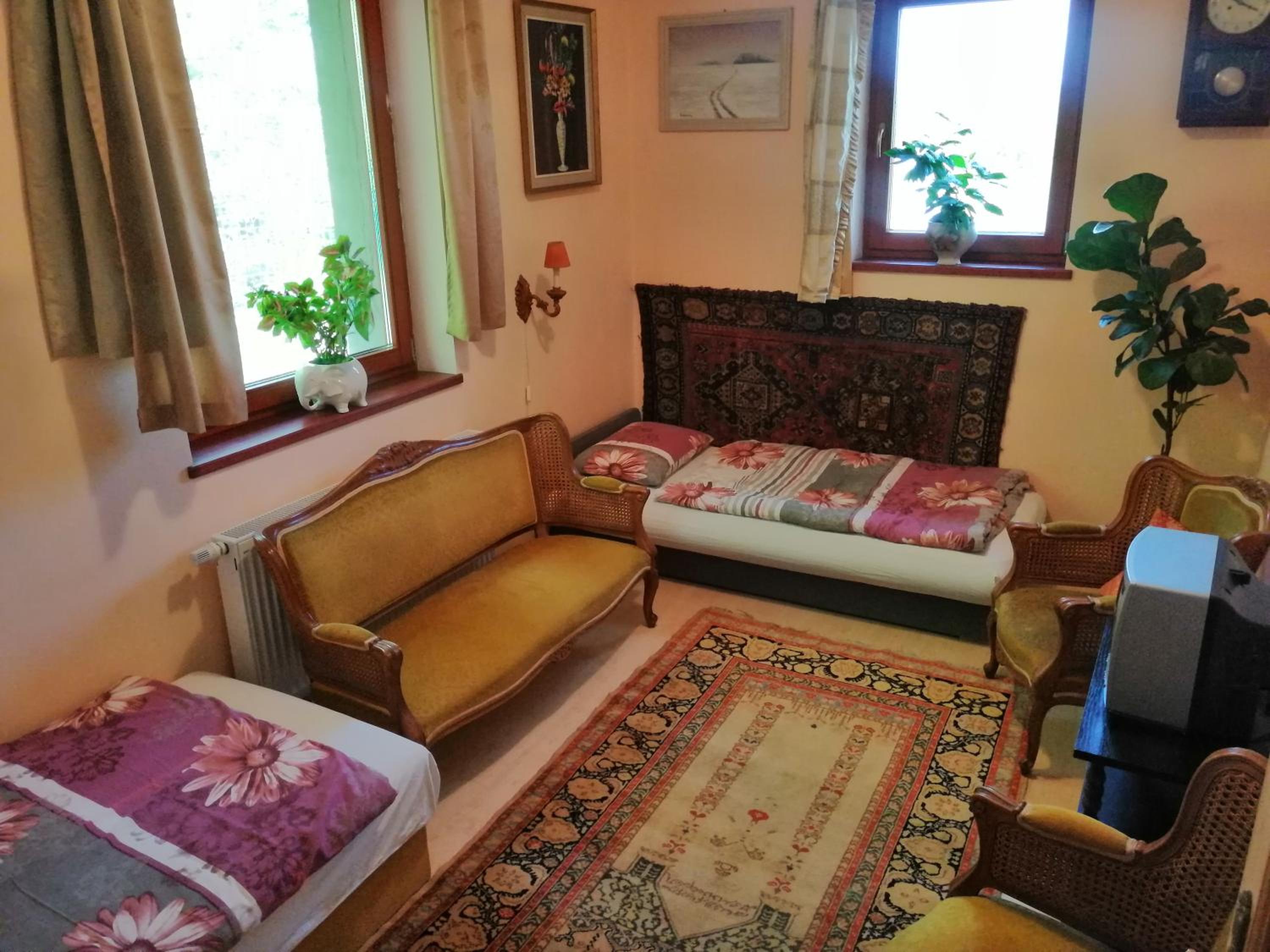 Vízaknai Apartmanház view 2