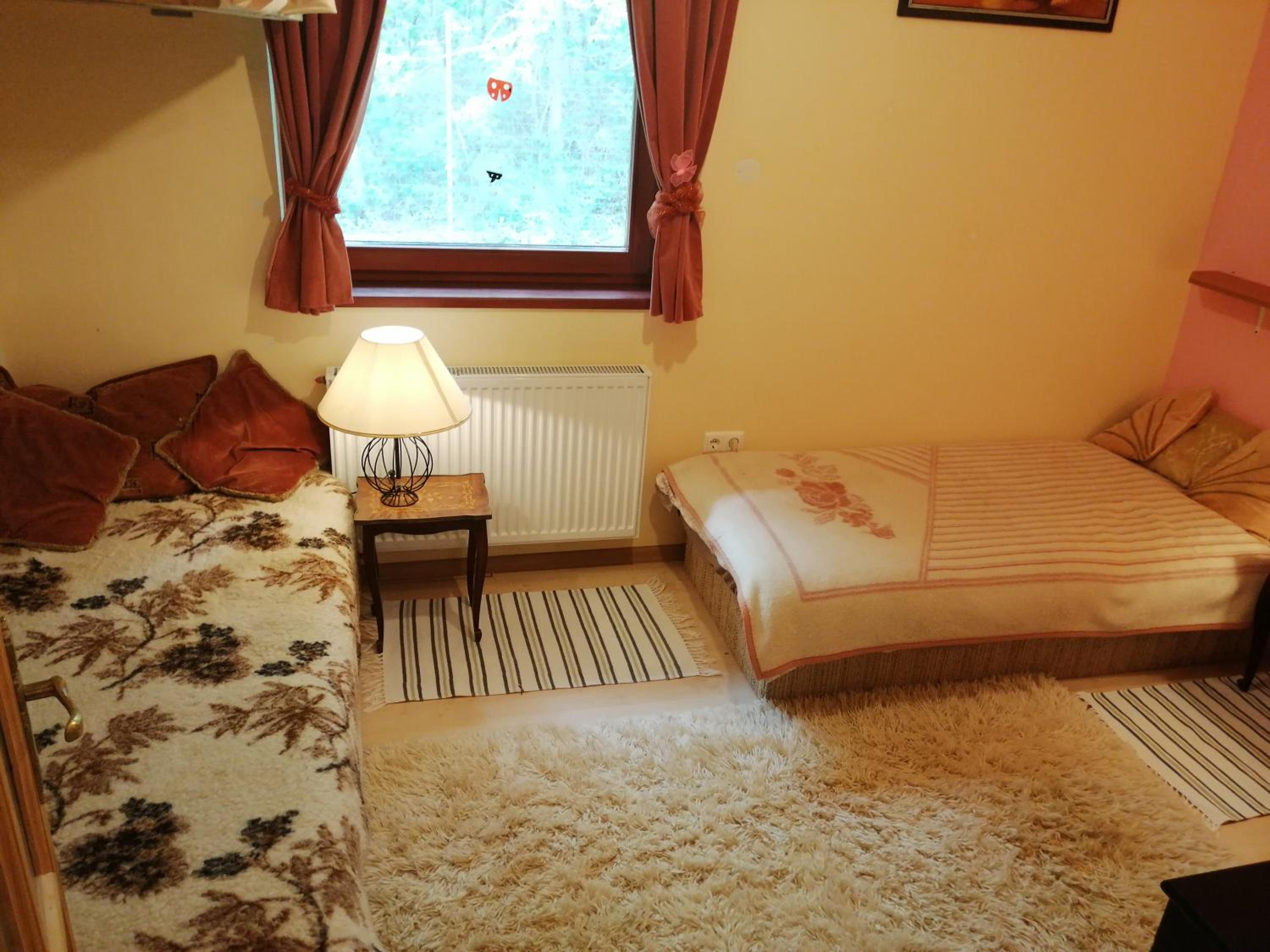 Vízaknai Apartmanház view 4
