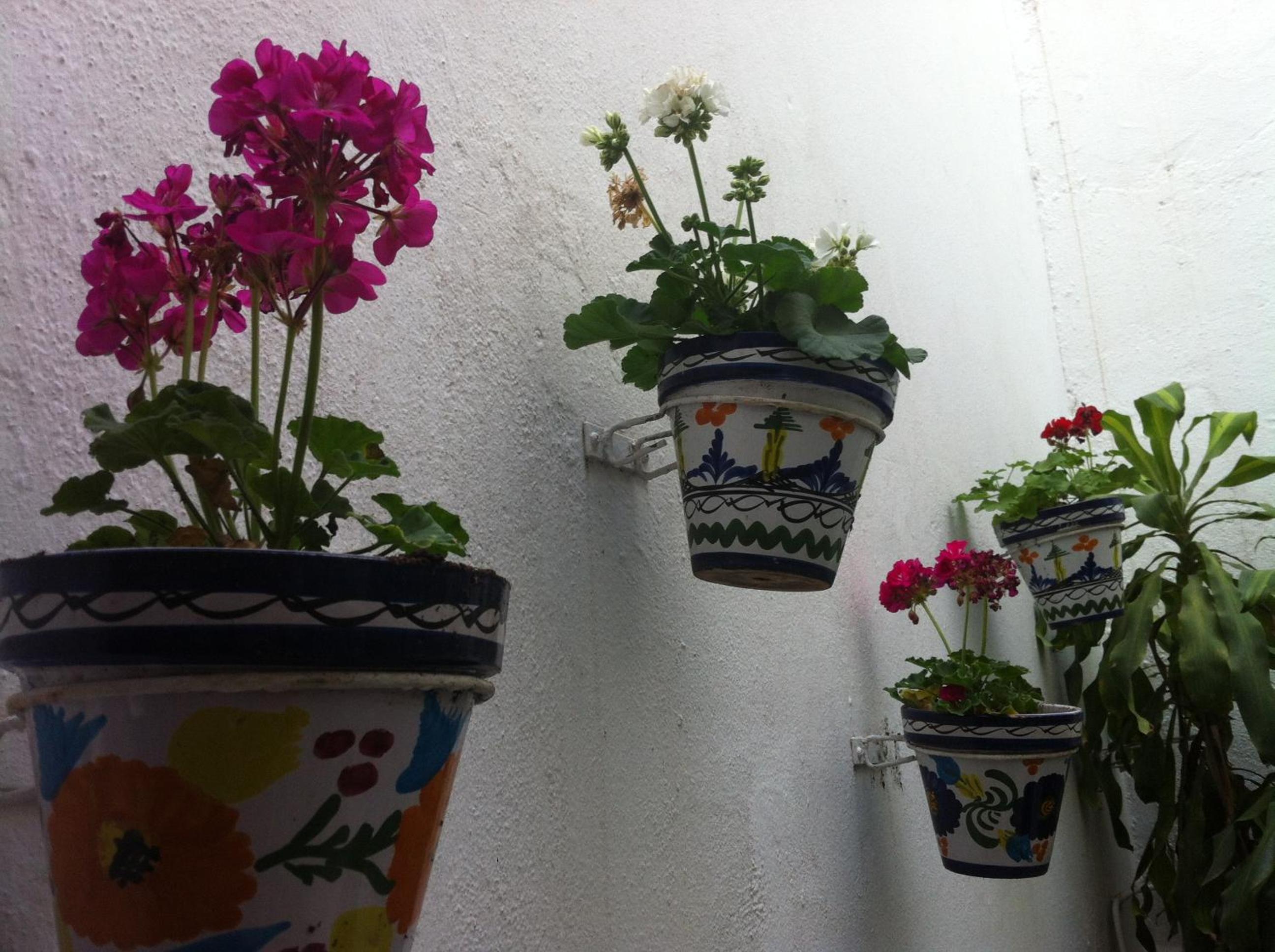 Marbella Vacations - Hostal Berlin - Property Image 7