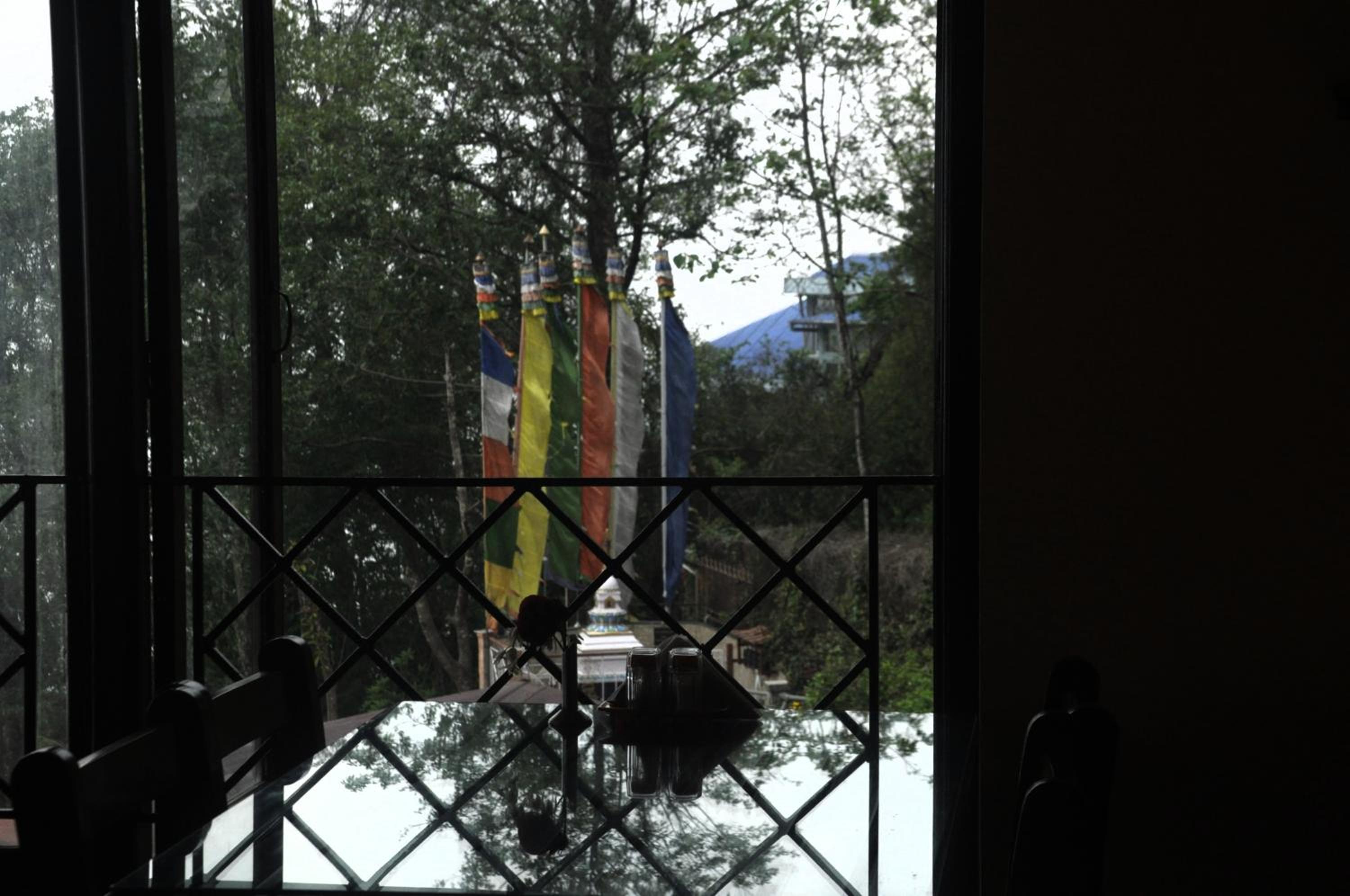 Photo 41