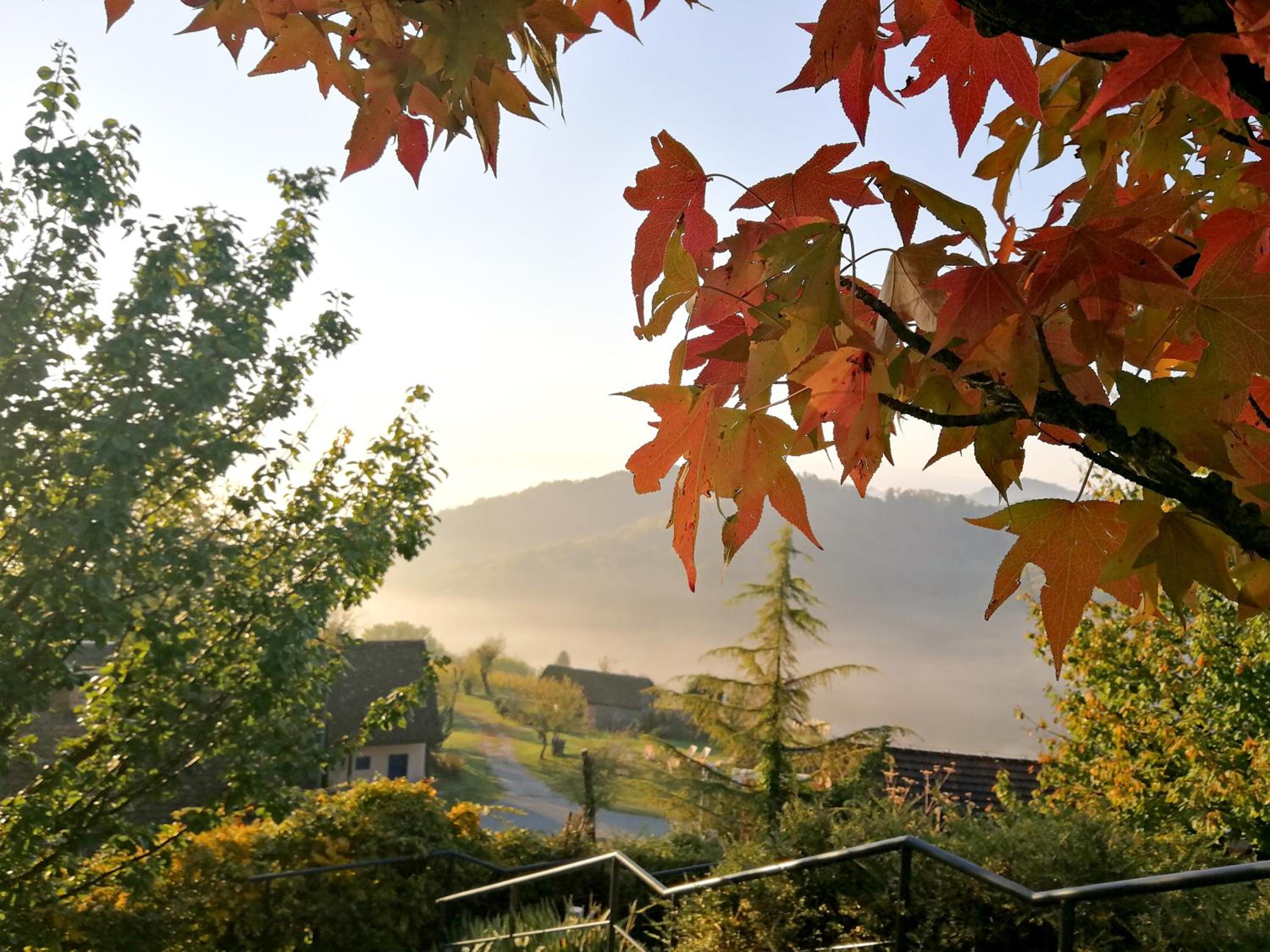 Winery, Restaurant & Pension Vuglec Breg