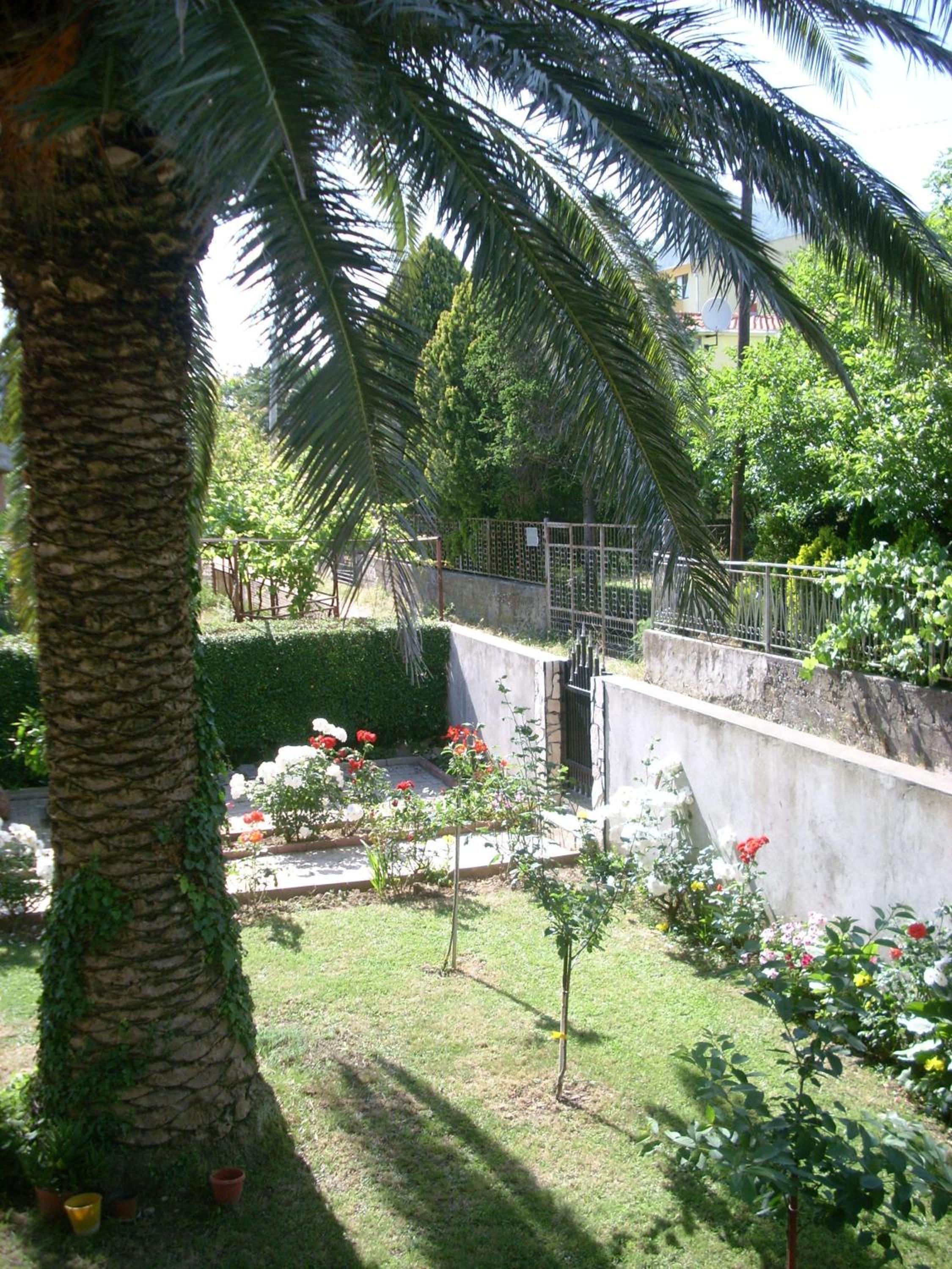 Apartments Lazarević Sutomore