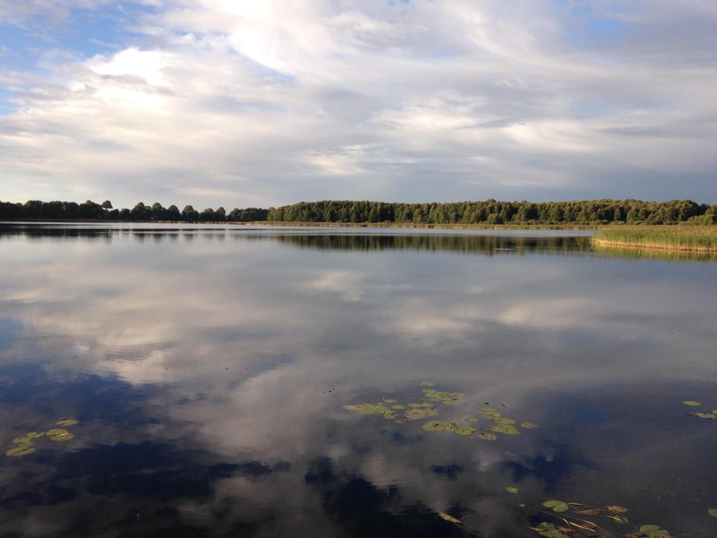 Honighof Hümmling view 4