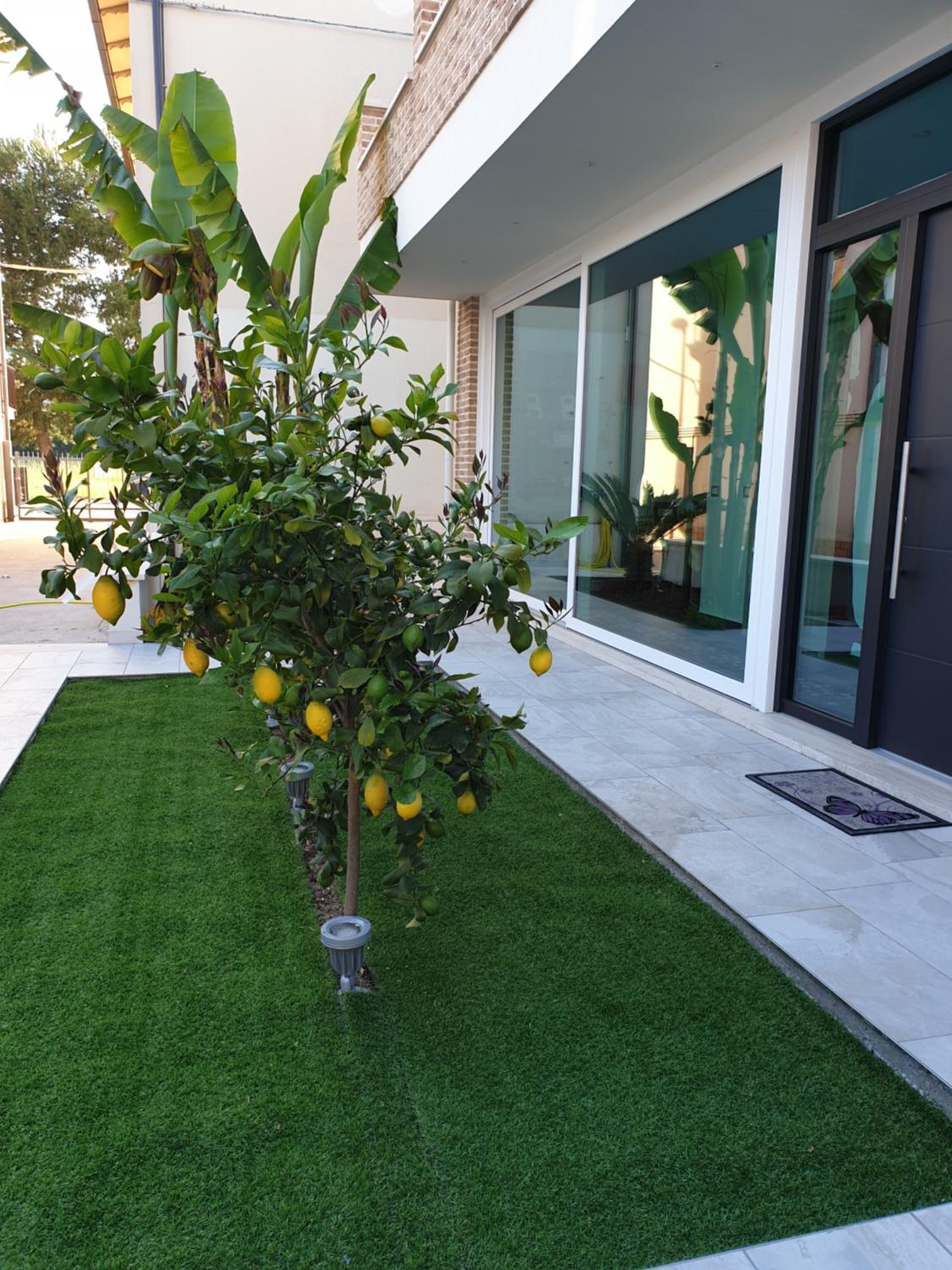 la casa dei limoni view 4